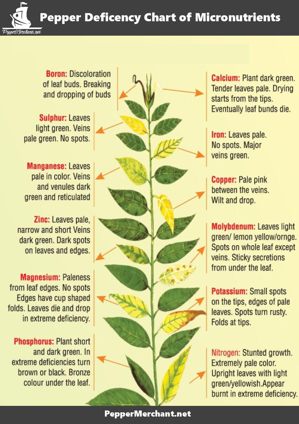 Quick Start Guide Pepper Deficiency Chart