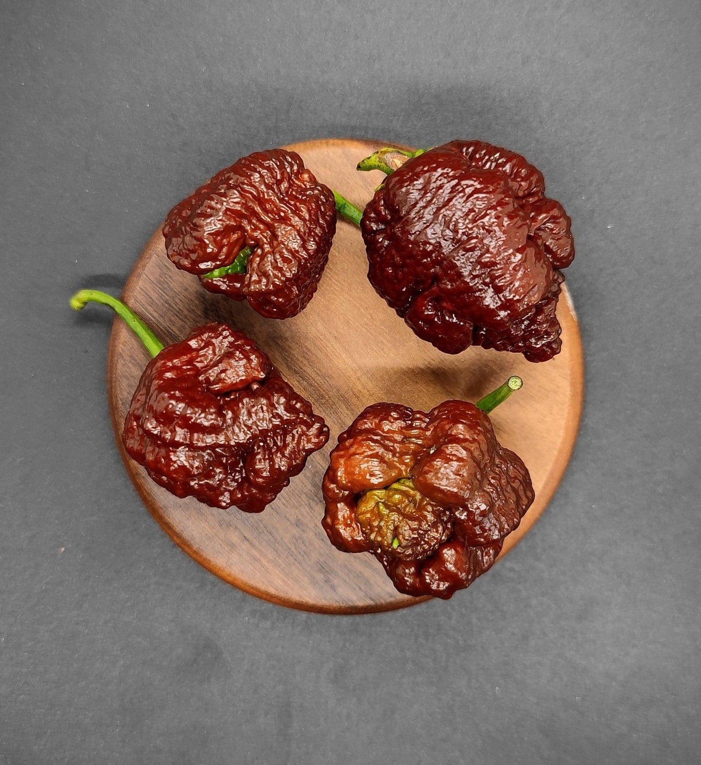 Four dark red, wrinkled chili peppers, featuring a Carolina Reaper x 7Pot Lava Chocolate from PepperMerchant.net, with green stems are arranged in a circular pattern on a round wooden board. The background is a solid dark gray color. The peppers' irregular, bumpy texture is prominently displayed.