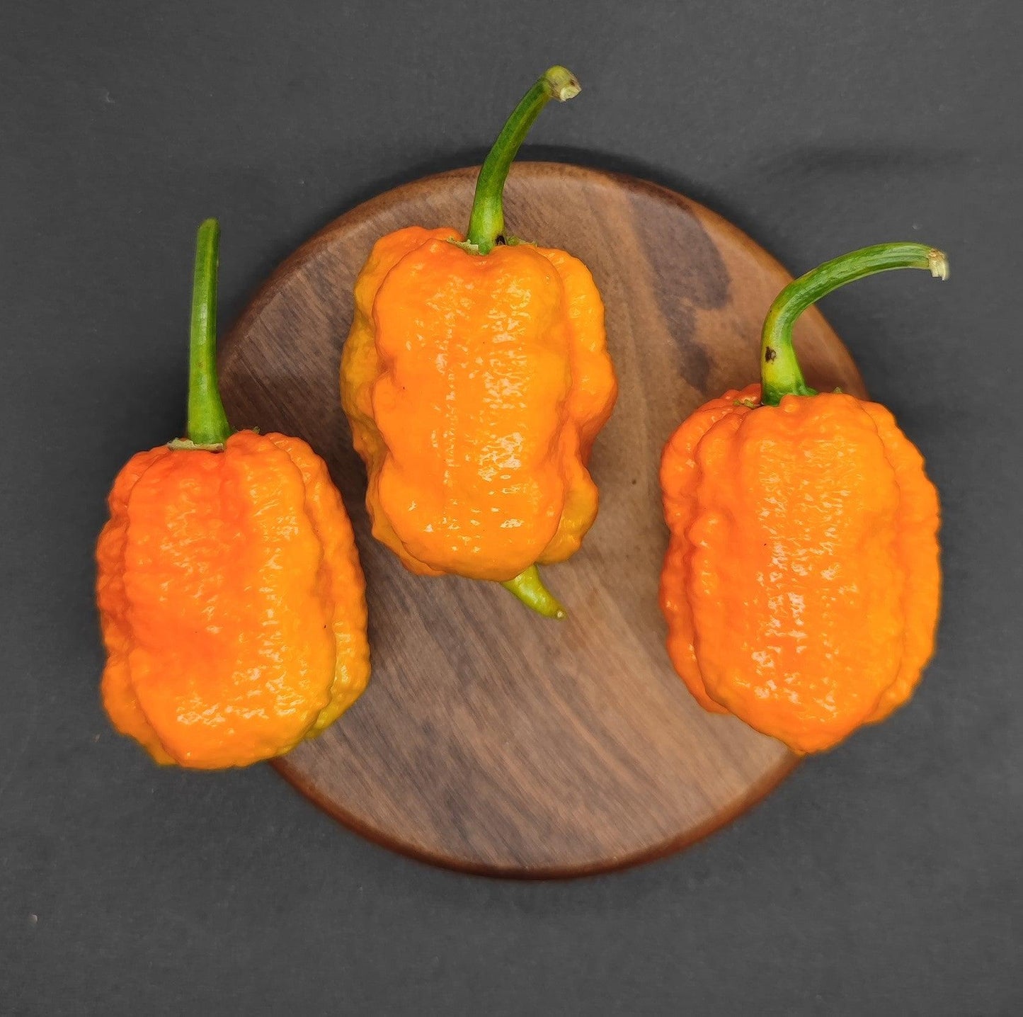 Three bright orange Reaper Equis peppers from PepperMerchant.net, each with a wrinkled, bumpy texture and a green stem, sit on a small, dark wooden board against a black background.