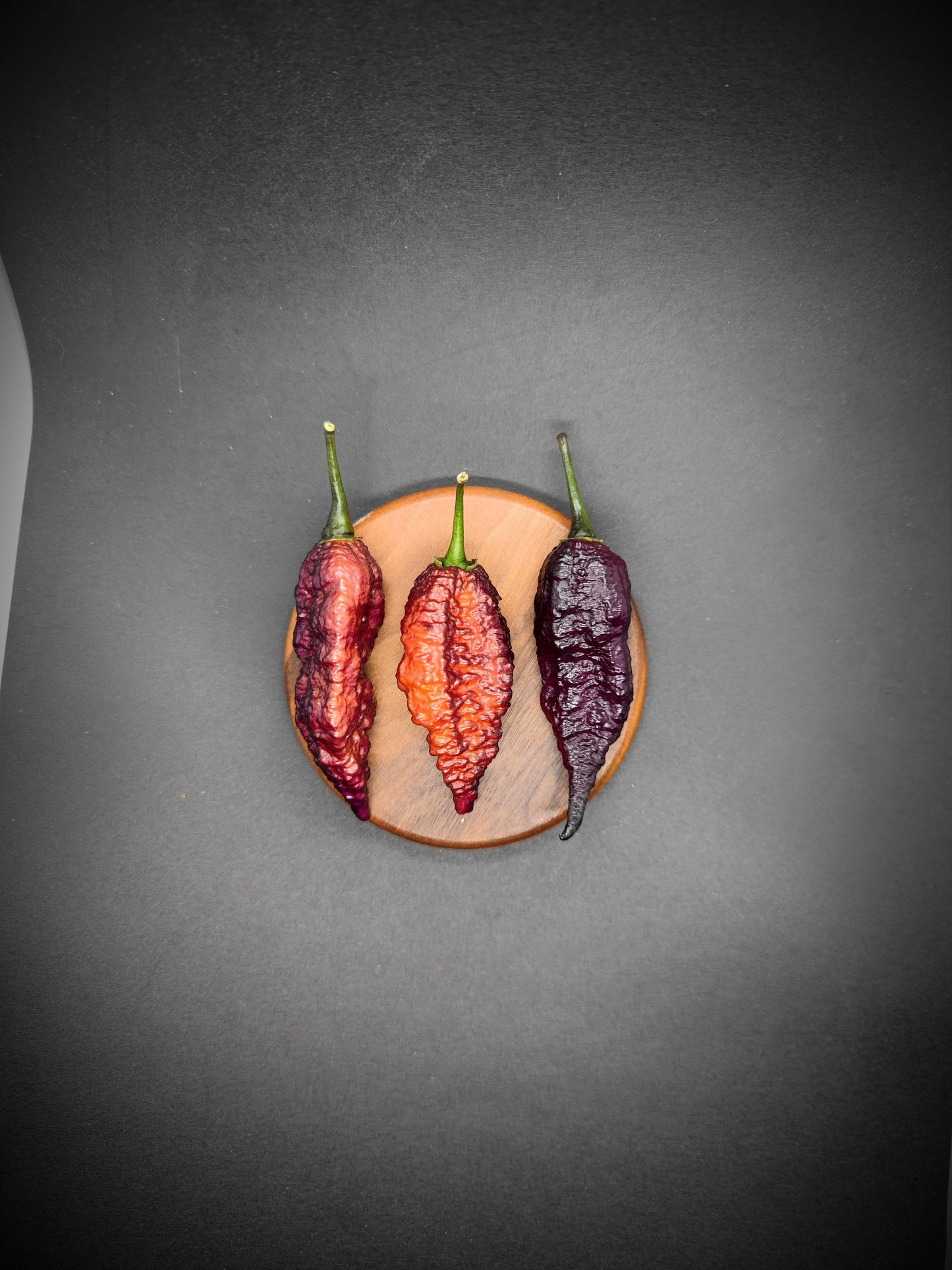 A circular wooden plate on a black surface holds three Crazyboy Pink Cream peppers from PepperMerchant.net, each varying in color from deep red on the left, bright red in the center, to dark purple on the right. These superhot peppers include some unique hybrids like Big Black Mama x Puma BBG.