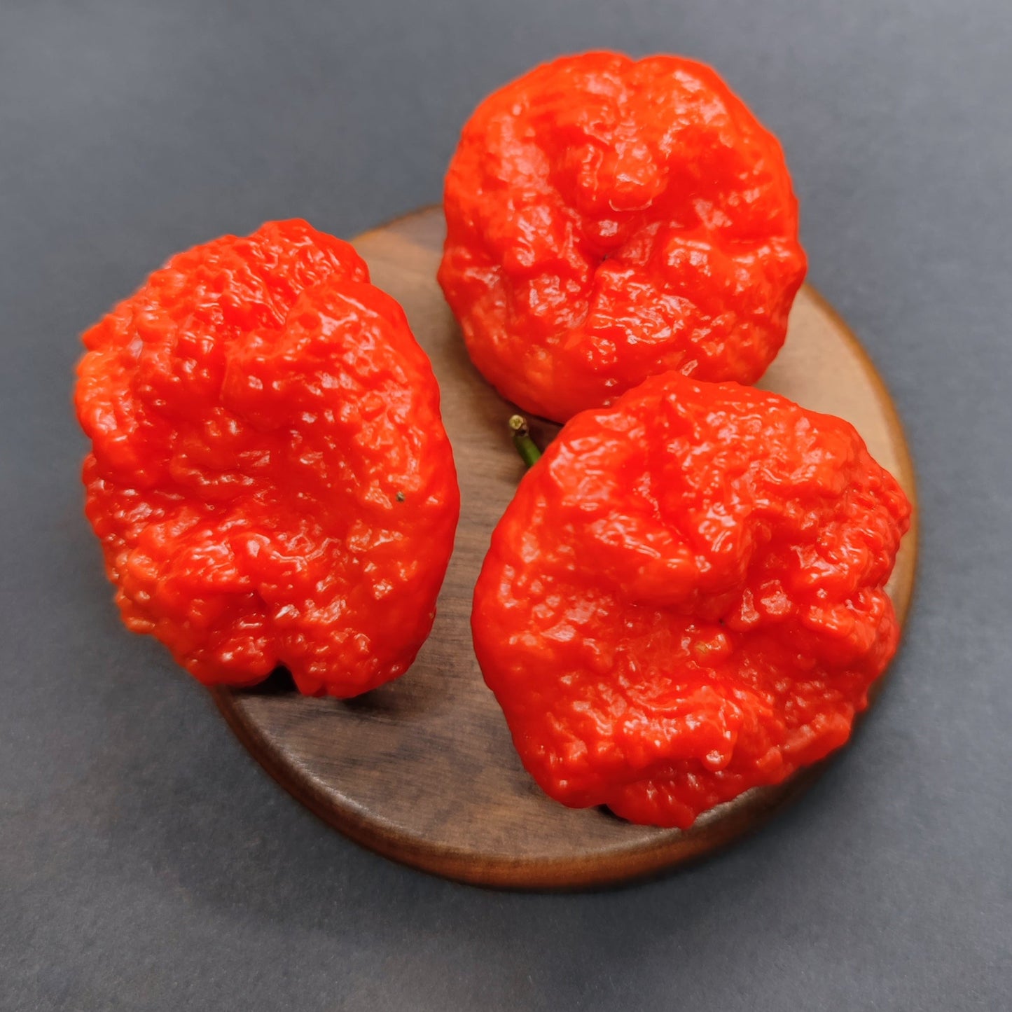 Three vibrant red Scotch Brains peppers from PepperMerchant.net sit on a small round wooden board against a dark background—ideal for hot pepper fans seeking intense flavor.