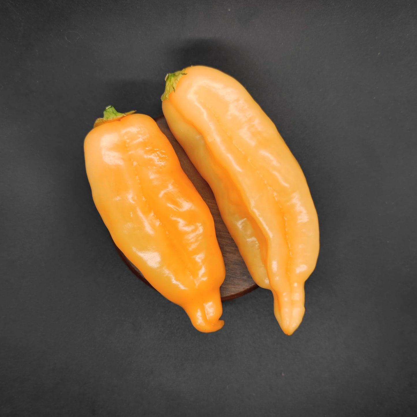 Two Sugar Rush Peach peppers from PepperMerchant.net, with green stems, rest side by side on a small round wooden base against a dark background—ideal for growing your own hot peppers or crafting bold hot sauces.