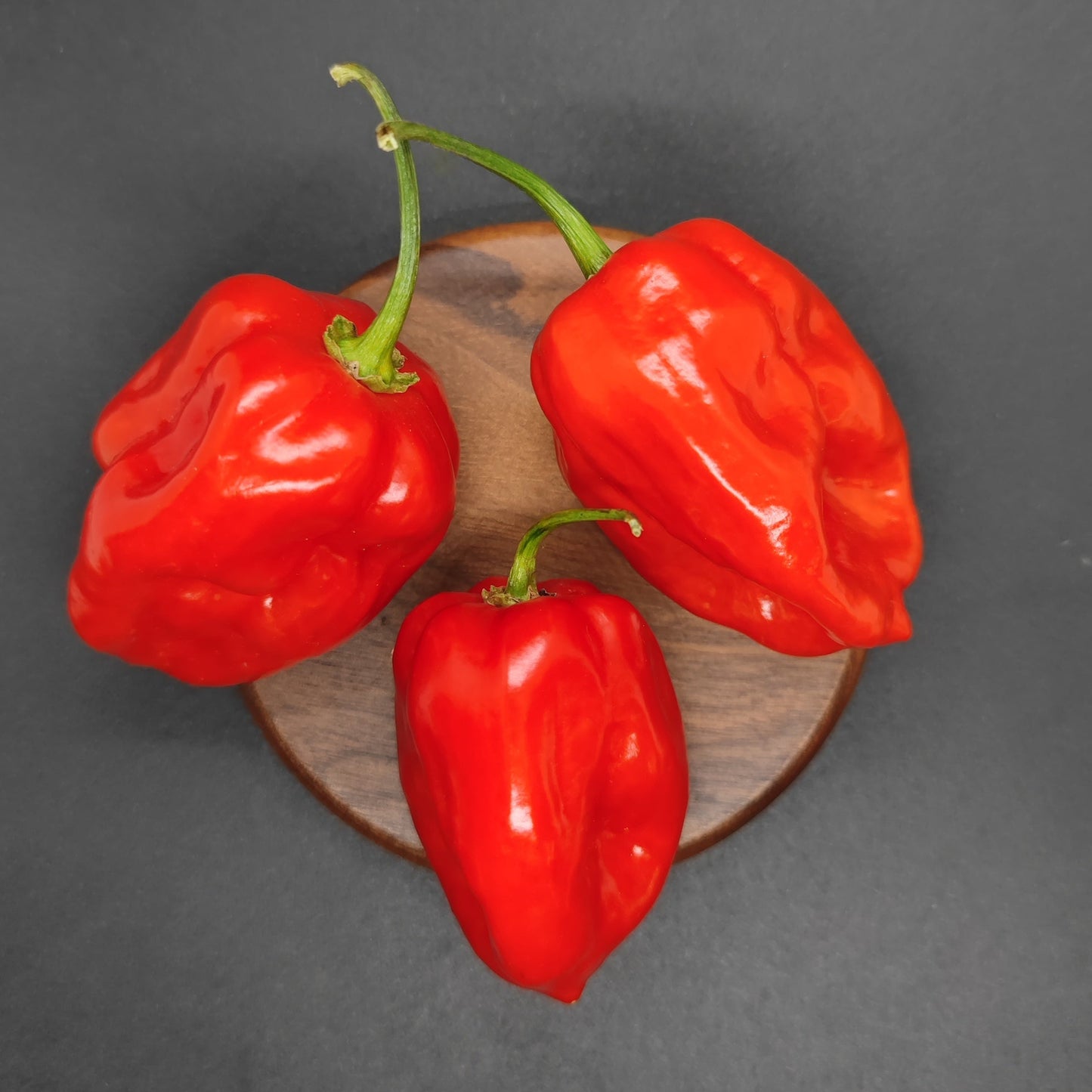 Three vibrant habanero peppers rest on a wooden surface, highlighting PepperMerchant.net’s Habanero Seeds - Orange, Red, Yellow Mixed—ideal for adding color and spice to your garden.