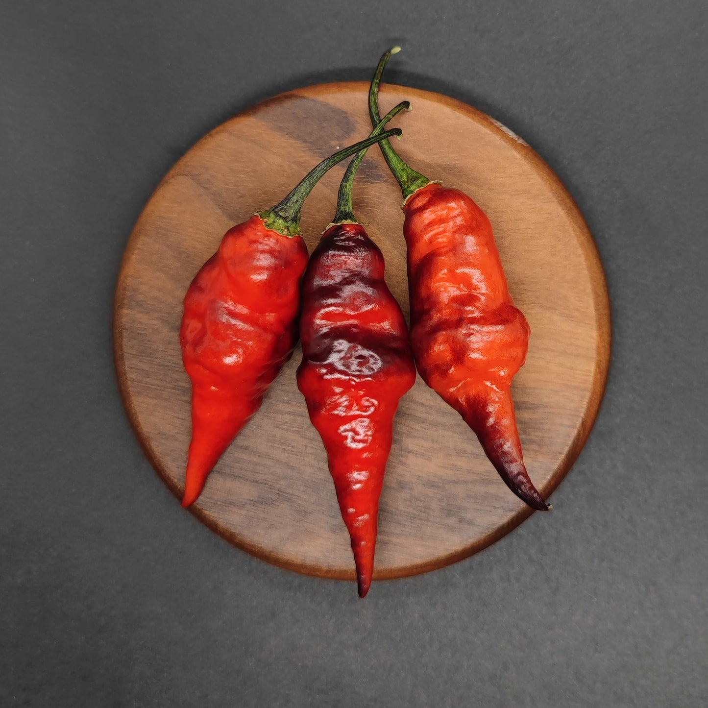Three Black Chupetinho Long Cross chili peppers by PepperMerchant.net are displayed on a round wooden board against a dark background—perfect for chili enthusiasts and growers looking for distinctive seeds.