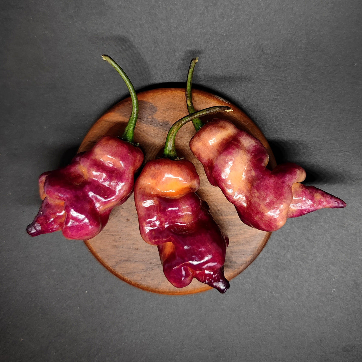 Three bumpy, two-toned red and orange Pandemonio chili peppers from PepperMerchant.net, each with a green stem, rest on a round wooden plate against a dark background.
