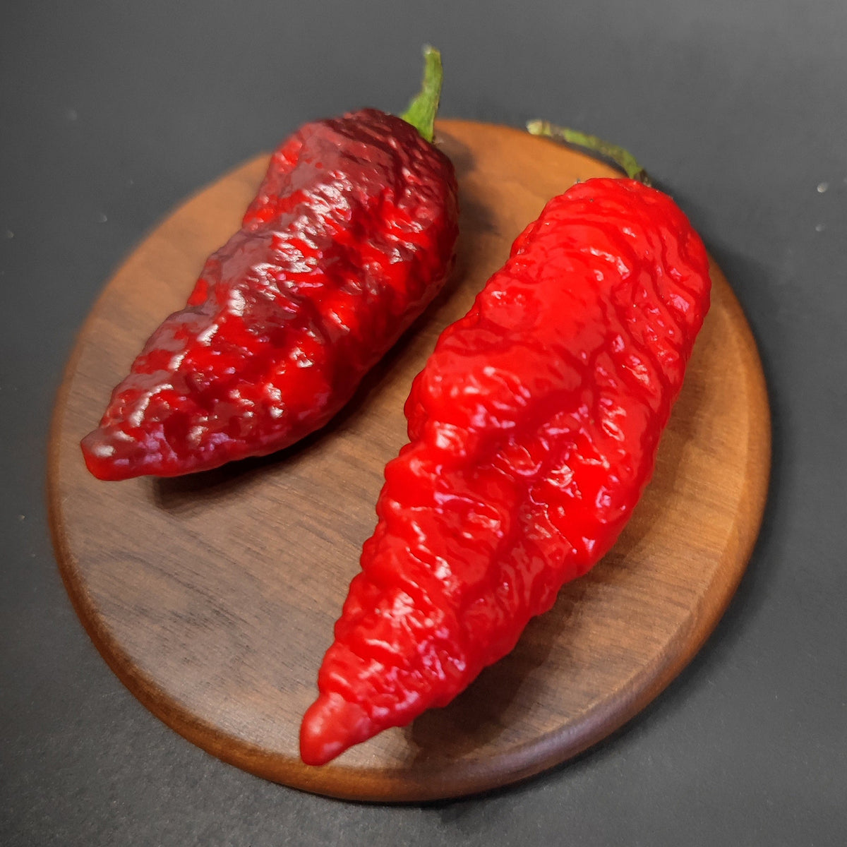 Two bumpy, elongated PM 541 - Dragons Breath Cross Dark Foliage chili peppers resting on a small wooden coaster.