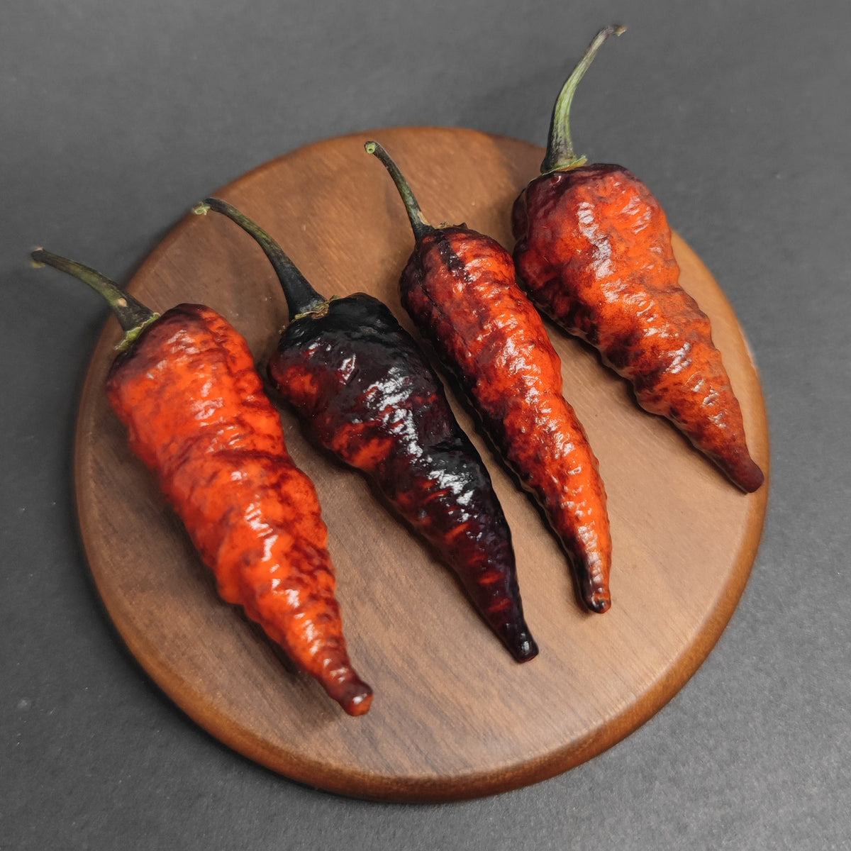 Four wrinkled Naga Twister peppers, ranging in color from bright orange to deep purple-black, resting on a small circular wooden board used for spicy condiments.