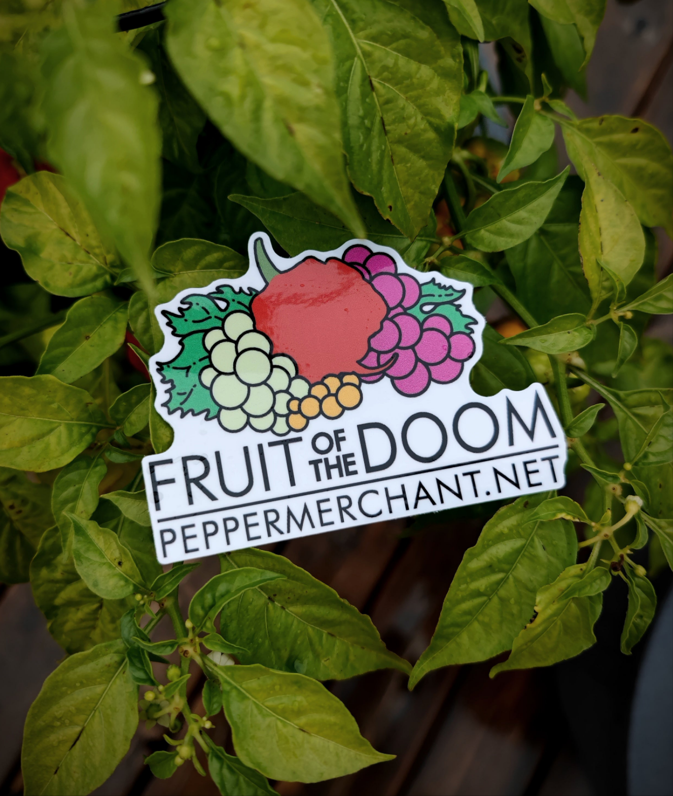 The Fruit of The Doom Sticker by PepperMerchant.net, featuring a parody design with colorful fruits and bold text, is displayed among green leafy plants.
