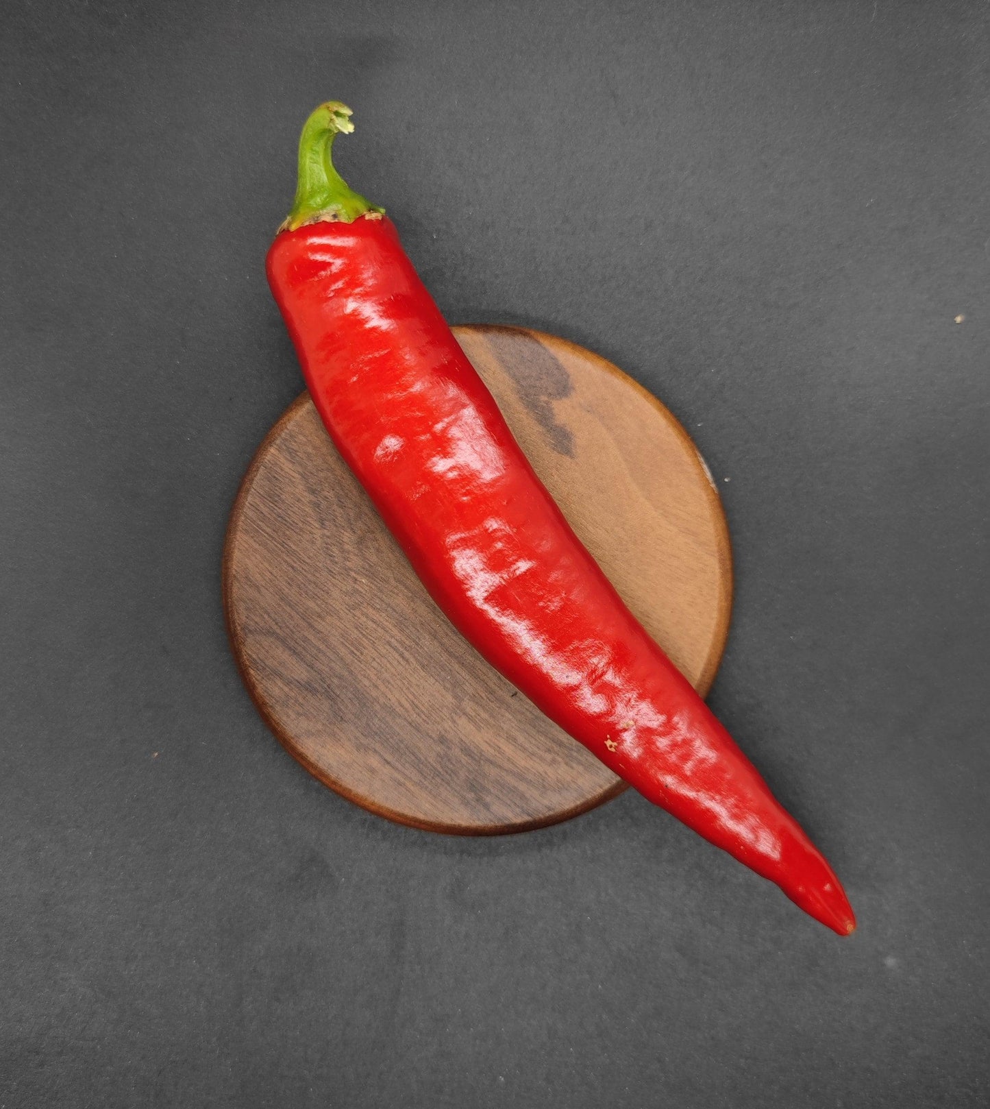 A single Guajillo Chili (Mirasol) by PepperMerchant.net, featuring a vibrant red body and green stem, sits atop a round wooden coaster against a dark matte background, evoking the essence of peppers found in authentic Birria Tacos.