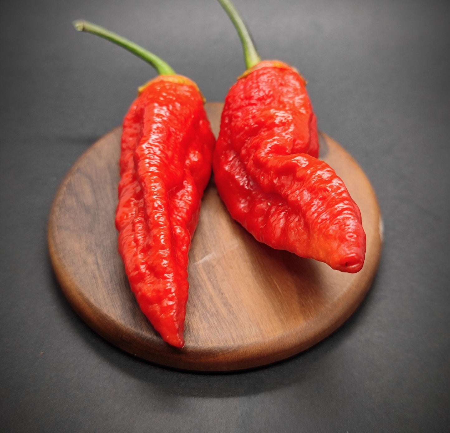 Two vibrant red, wrinkled Cow Killer XL peppers from PepperMerchant.net with green stems sit side by side on a round wooden board against a dark background. Known for their intense heat and distinctive, bumpy texture, these XL pods pack an even more powerful punch.