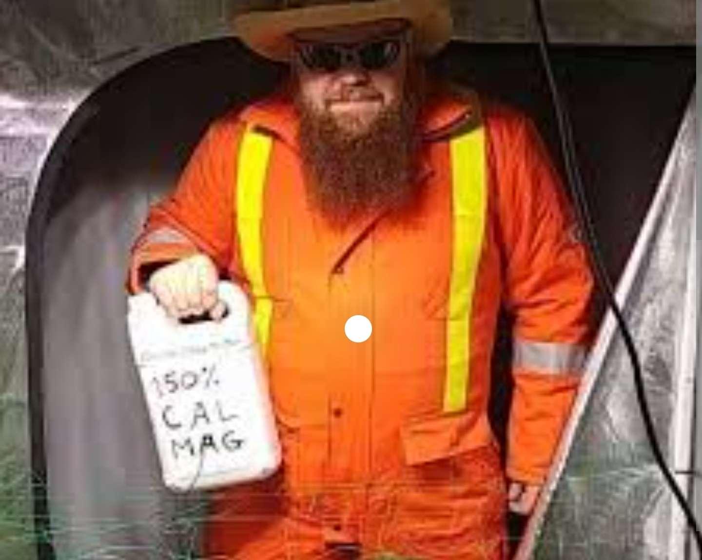 A person with a long beard is wearing an orange jumpsuit with yellow reflective stripes, sunglasses, and a hat. They are holding a white container labeled "150% CalMag Sticker" from PepperMerchant.net, which serious growers swear by. The background appears to be a tent or enclosed space.