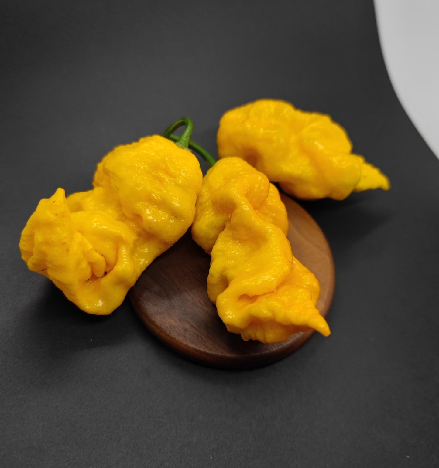 Three vibrant yellow Borg 9 Yellow peppers from PepperMerchant.net sit on a circular wooden surface with a dark background. Their distinctive, bumpy texture stands out against the backdrop, hinting at their fiery flavor and high Scoville Heat Unit.