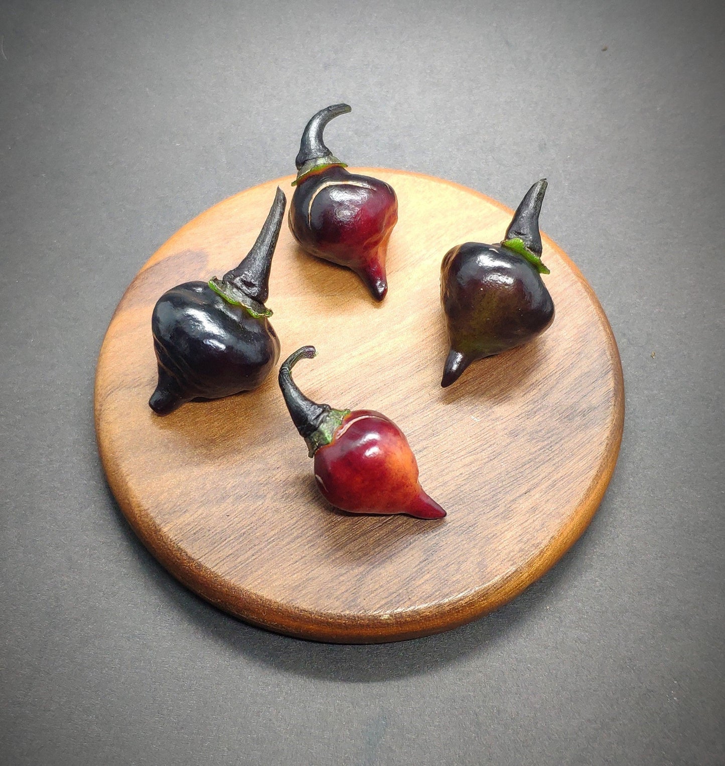 Four small, horn-shaped Black Peach Chupetinho peppers from PepperMerchant.net, varying in color from dark purple to red, are arranged on a round wooden board. These peppers rest on a gray surface, their Scoville Heat Units promising a fiery kick.