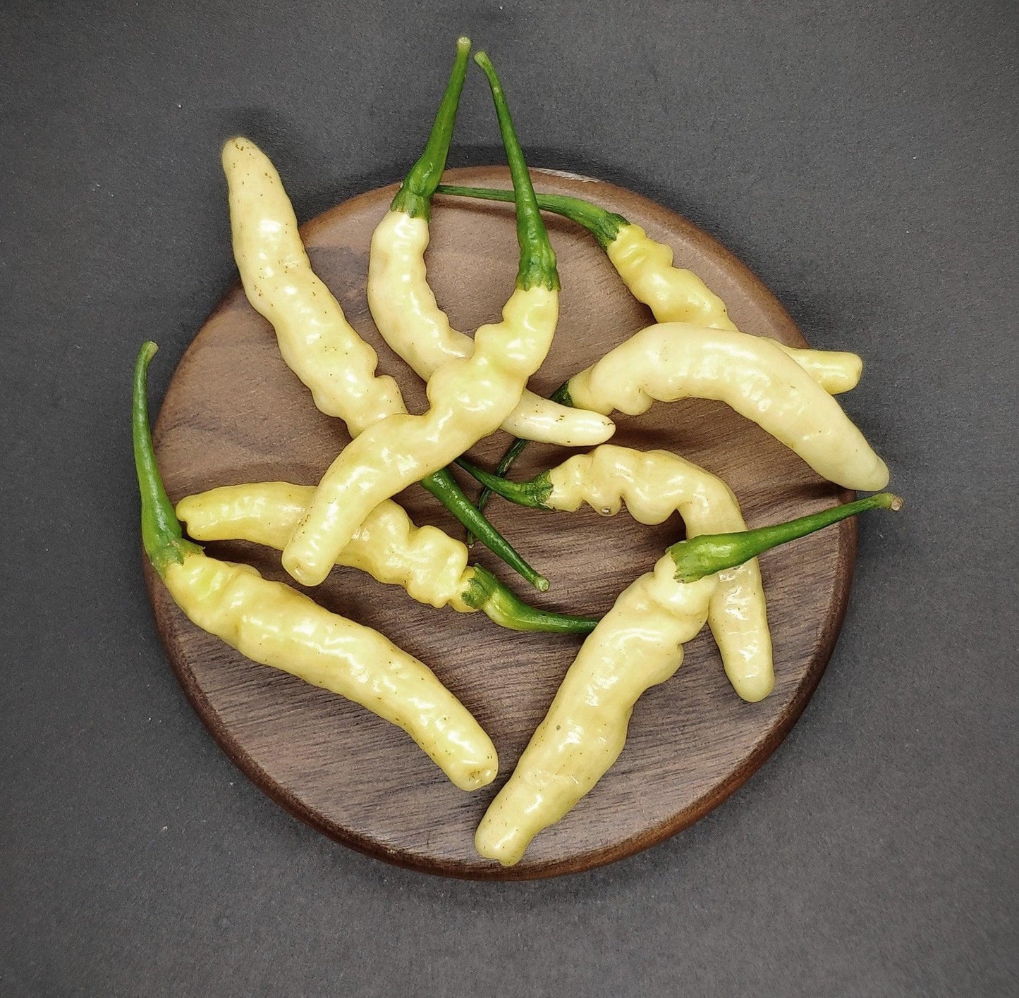 A wooden plate holds several light yellow chili peppers with green stems, arranged on a dark grey background. The peppers, likely Aribibi Gusano peppers from PepperMerchant.net, are elongated and slightly twisted, boasting a smooth, glossy surface and an intense heat with a distinctive flavor.