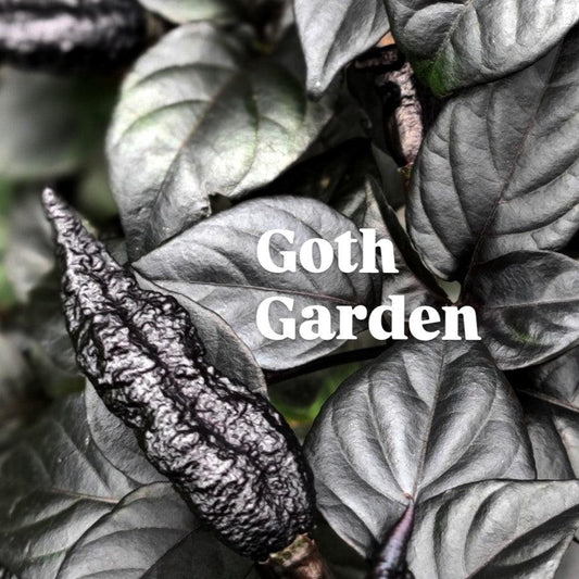 What is Goth Gardening?