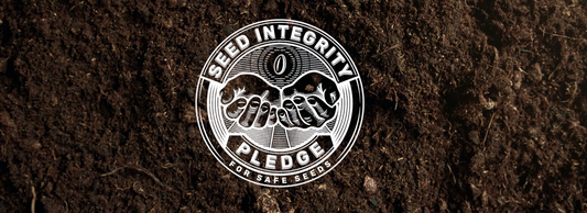 Safe Seed Pledge and No-GMO Seed Stock
