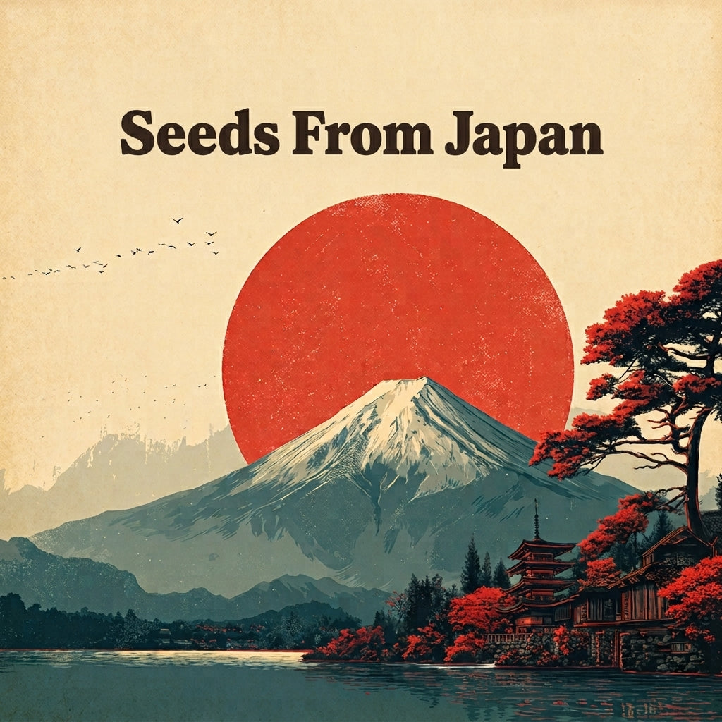 Mount Fuji with a red sun in the background, birds flying, and traditional Japanese buildings with red-leaved trees in the foreground. Text reads “Seeds From Japan.”.