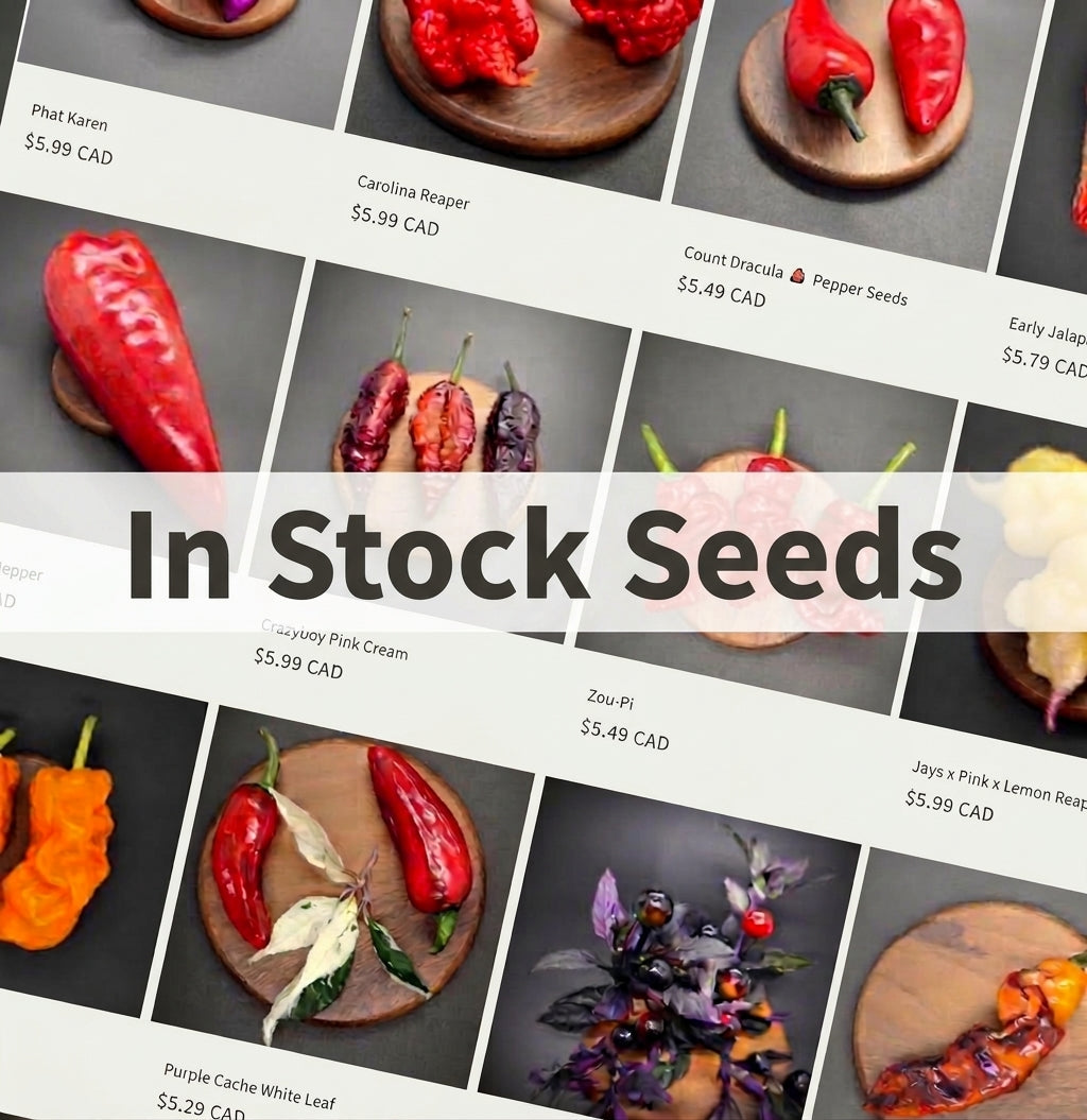 In Stock Seeds