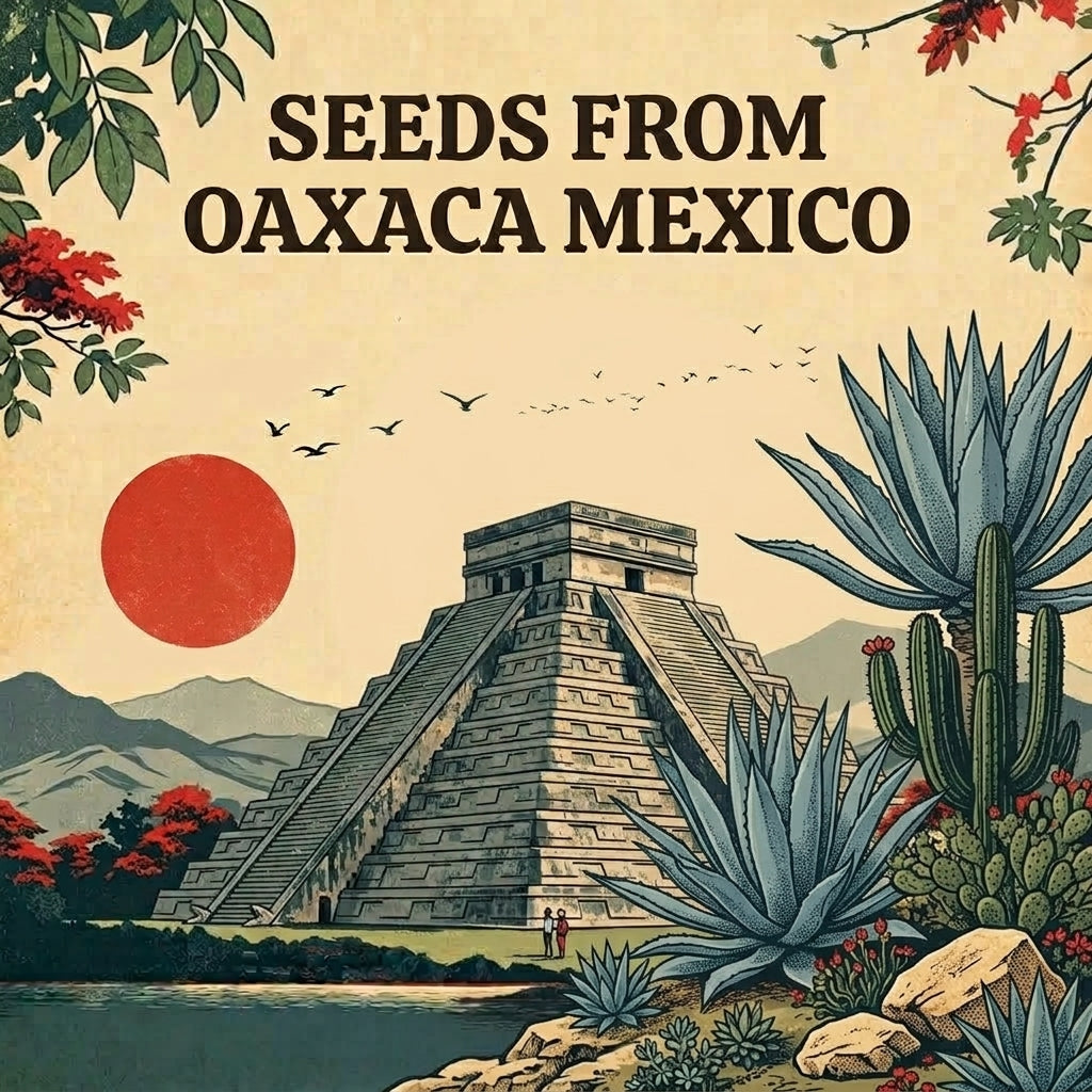 An illustration of a pyramid, agave plants, and a red sun with mountains and birds in the background. Text reads “Seeds from Oaxaca Mexico.”.
