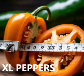 Close-up of sliced orange bell peppers with a measuring tape wrapped around them, placed on a wooden surface. The text "XL PEPPERS" is displayed at the bottom left. In the background, a green pepper is visible.