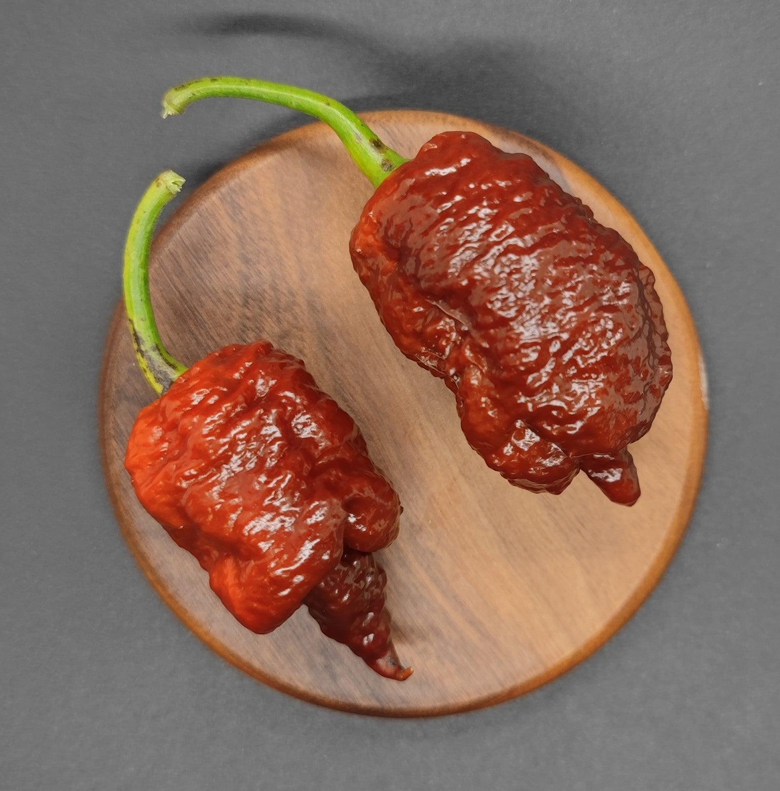 Podzilla Chocolate – PepperMerchant.net