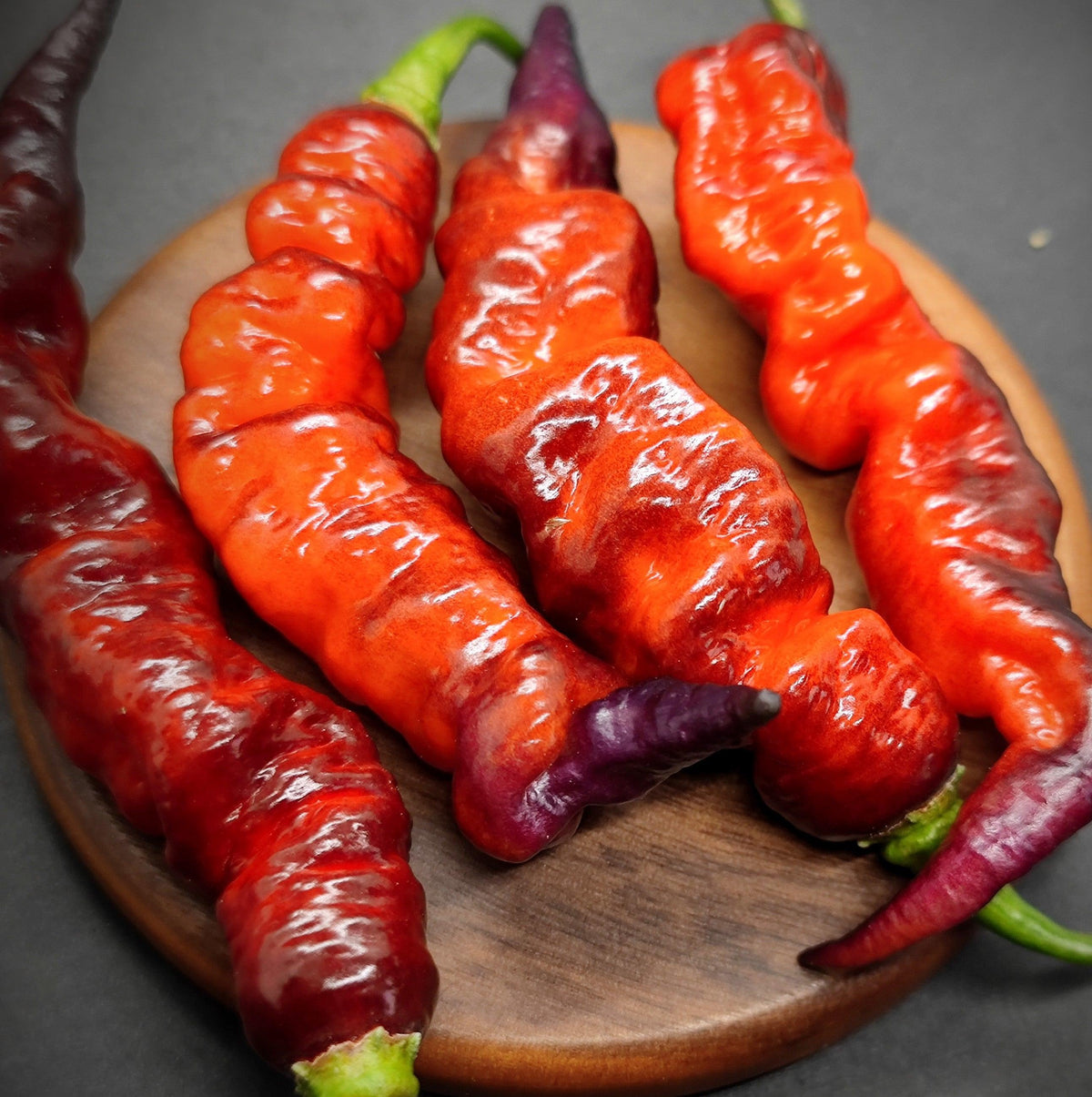 Bumpy Chilli Pepper Crazy Head DD Purple Red – PepperMerchant.net