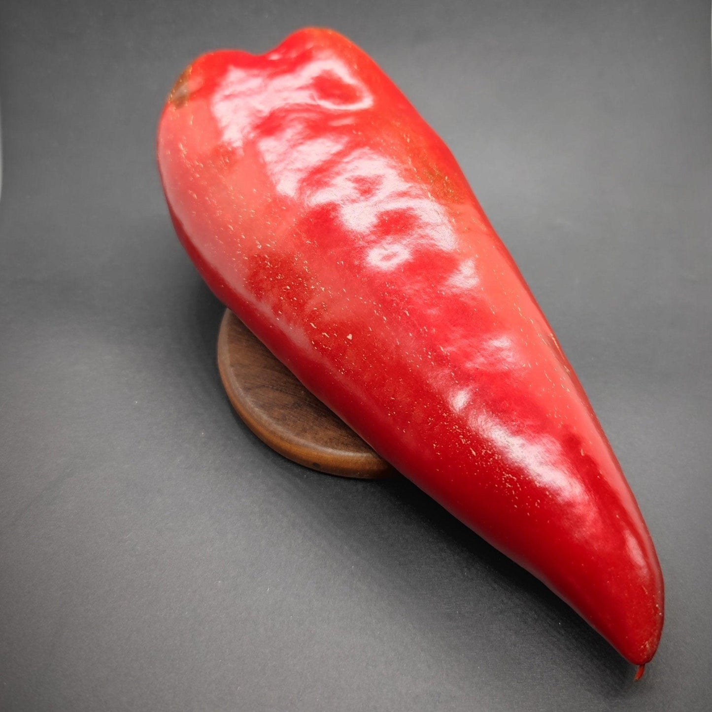 A single large Ajvarski Pepper from PepperMerchant.net, its glossy red surface gleaming with perfect ripeness, is placed on a round wooden stand against a dark gray background. The smooth and shiny exterior of the pepper makes it ideal for creating an authentic Ajvar spread, famously used in Balkan cuisine.