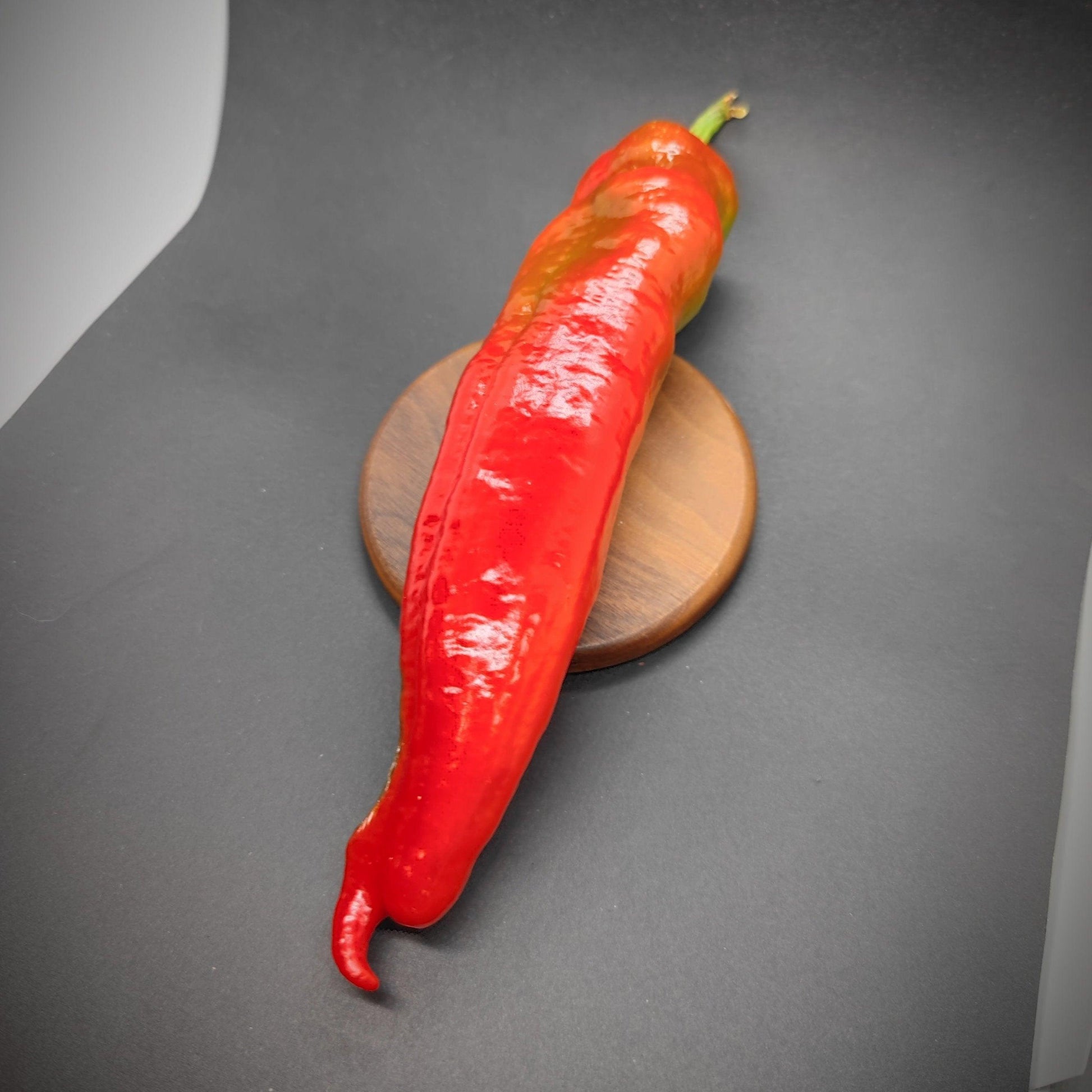 A bright red Hangjiao Corona (HJ1) pepper from PepperMerchant.net lies on a round wooden coaster against a dark gray background. The elongated pepper, featuring a slight curve and varying shades of red and green near the stem, is ideal for those interested in sustainable gardening or growing their own HJ1 Corona Space Chilli Seeds.