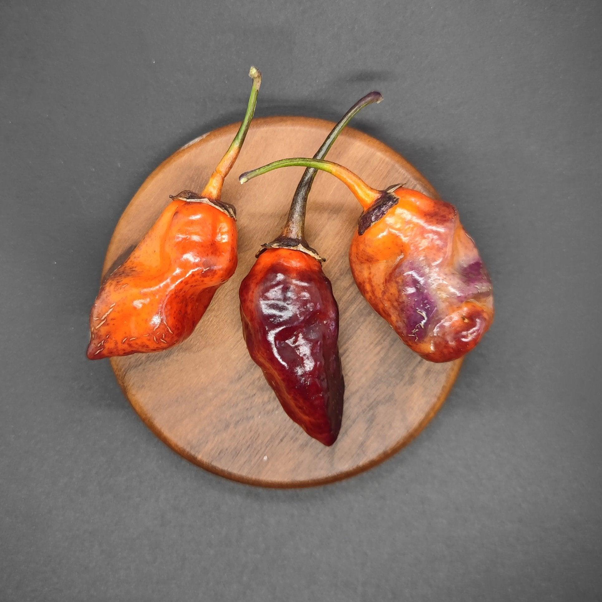 Three dried chili peppers sit on a round wooden plate against a dark background, varying in color much like the BBG7 Alchemy from PepperMerchant.net. These superhot peppers display an array of shades ranging from deep red to orangish hues, with some purplish tones, each boasting a long, curved stem.