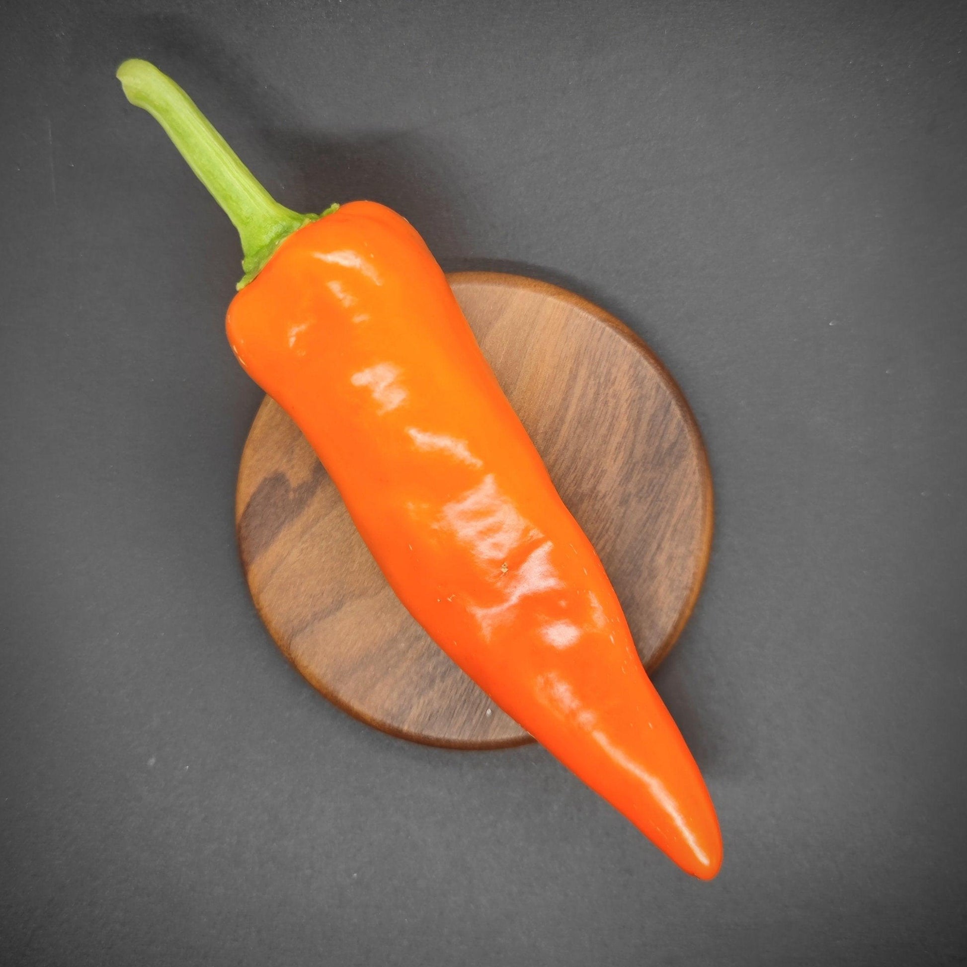 An Orange Spice Jalapeno from PepperMerchant.net, with a green stem, is placed on a round wooden disk, set against a dark background. The pepper echoes the vibrant hues often studied at the New Mexico Chili Institute; it is shiny and radiant, positioned diagonally across the disk.