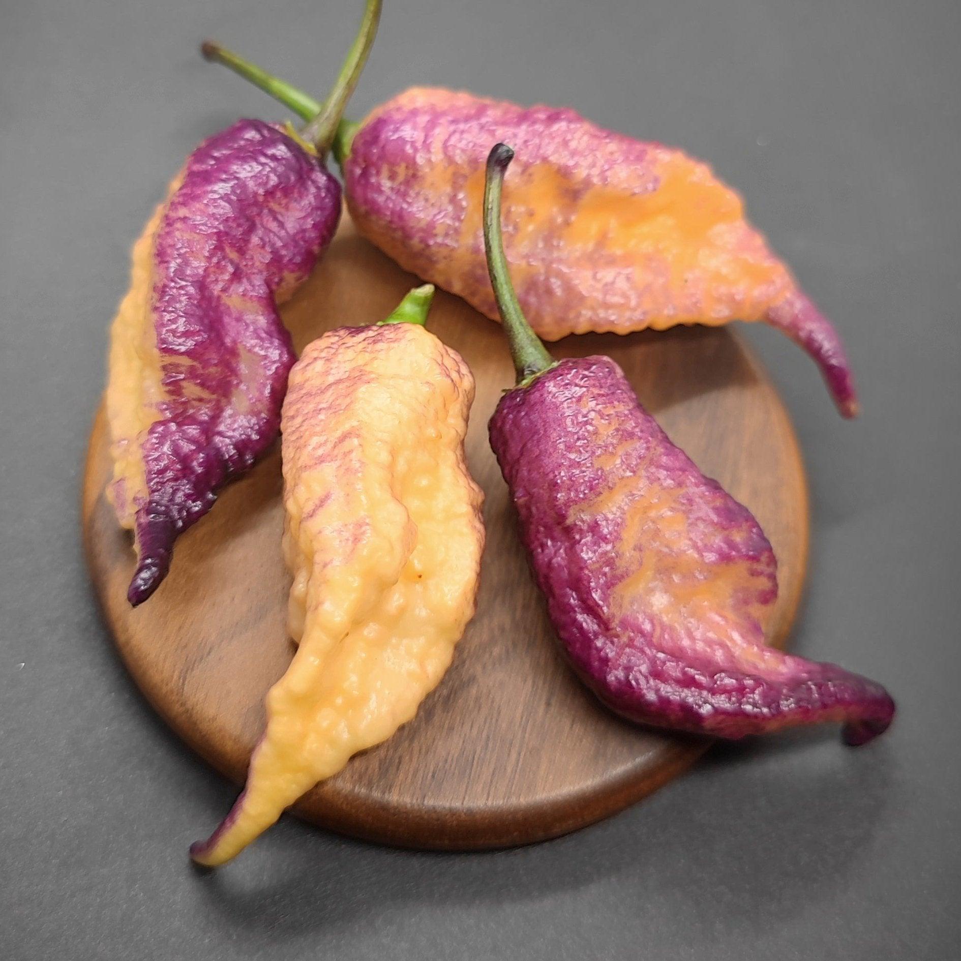 Four vibrant peppers, half Boar Claw with bumpy textures, from PepperMerchant.net are displayed on a small round wooden board against a dark background. The unique coloration and wrinkled surface of the peppers make them striking and unusual.