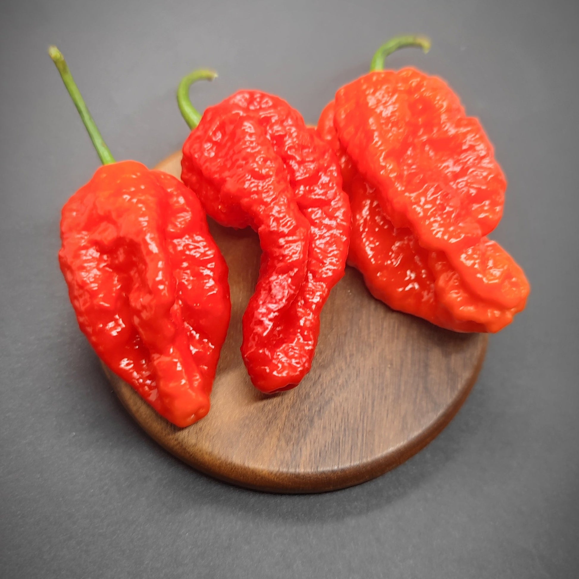 Three vibrant Delirio Red peppers from PepperMerchant.net are arranged on a small wooden plate against a dark background. These glossy peppers highlight their intense color and distinctive bumpy texture.