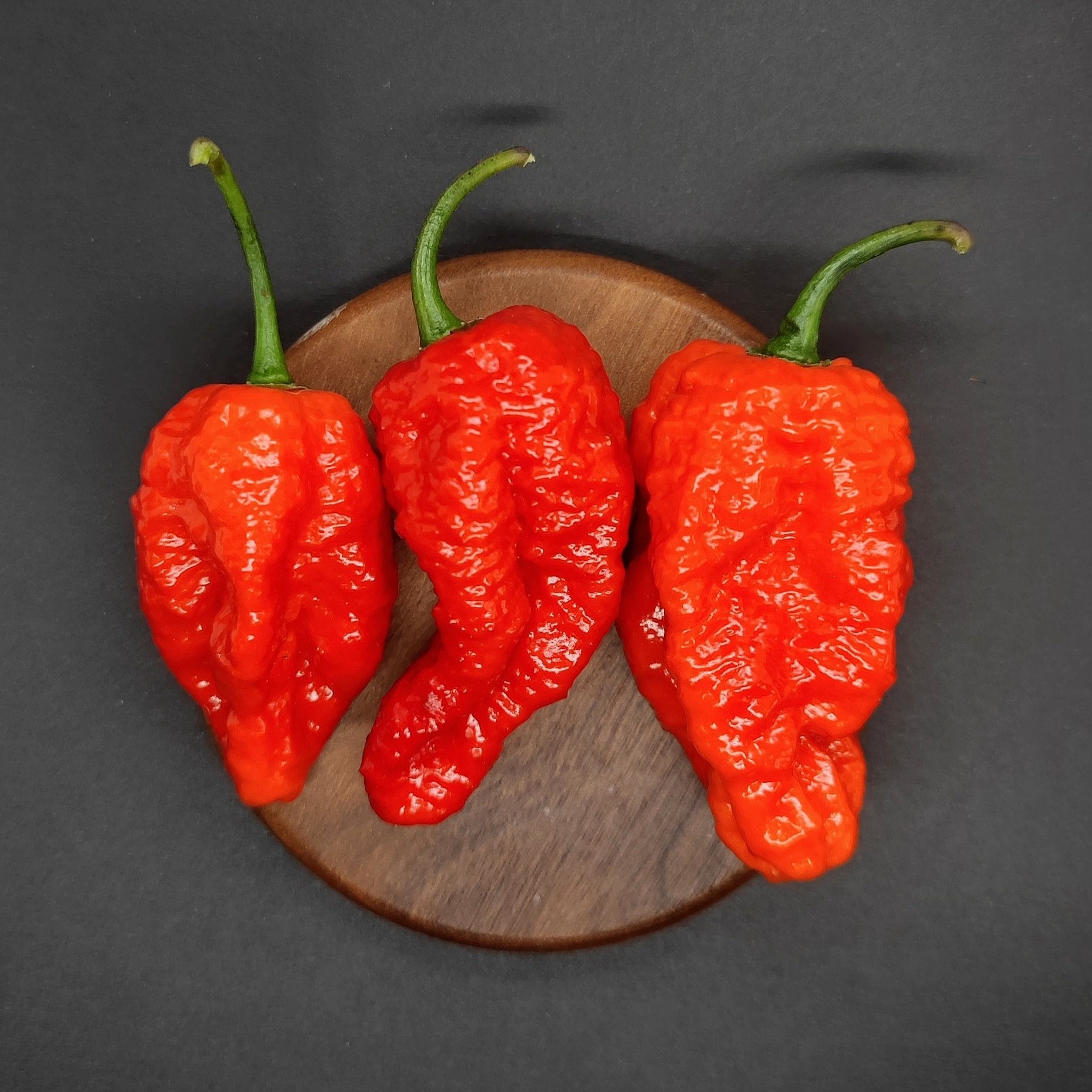 Displayed on a small, round wooden plate against a dark background are three Delirio Red peppers from PepperMerchant.net, along with a unique Pink Tiger variety. These bright red ghost peppers feature distinct, curved stems and have a rough texture.