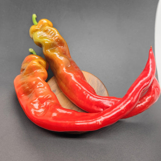 Three long peppers, known as "Hangjiao 9 Big Bang (HJ9)" from PepperMerchant.net, are arranged on a small wooden coaster against a dark background. These red and green peppers have a glossy, smooth surface and a curved shape, with their vibrant colors blending together beautifully.