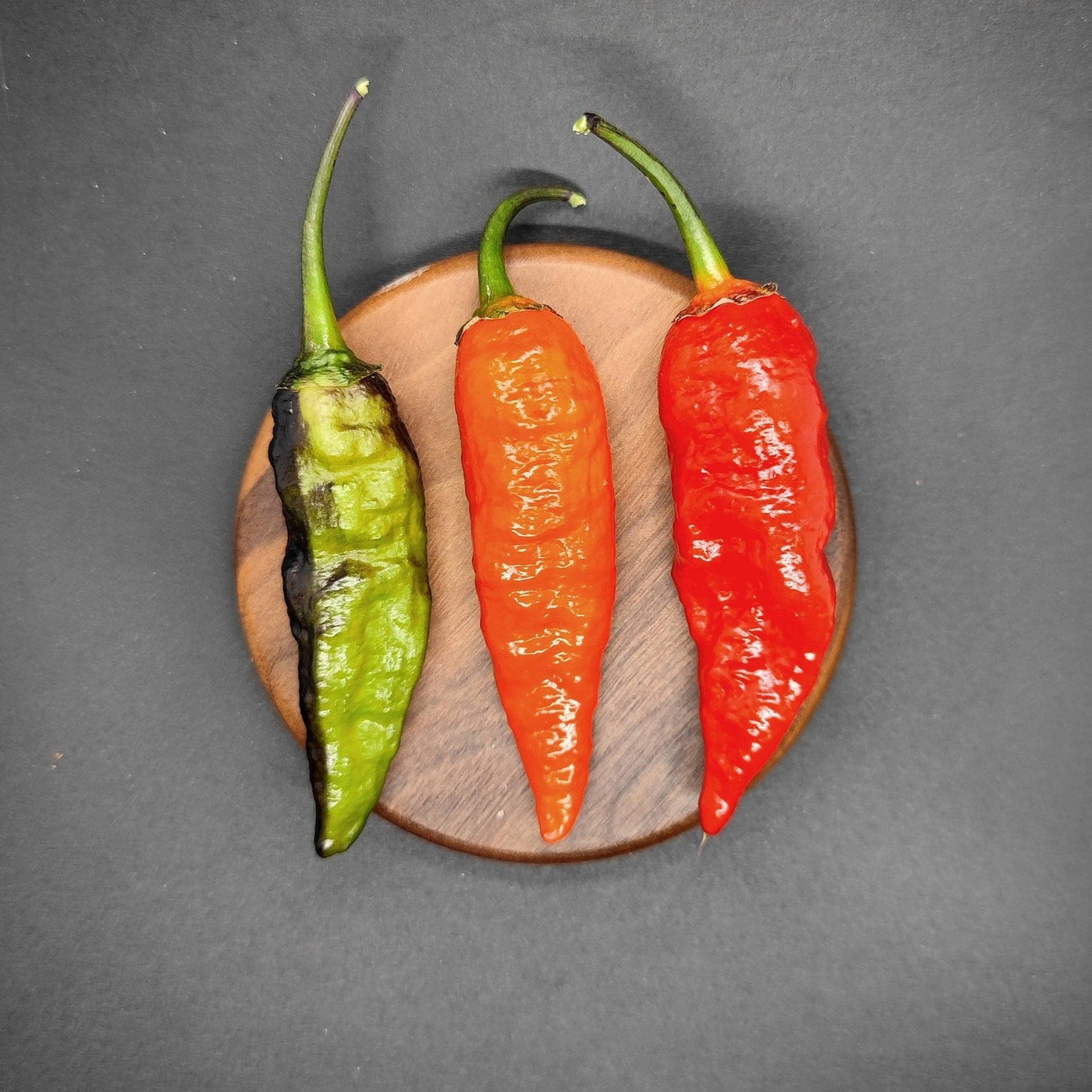 Three long chili peppers, including the BBG Armageddon Red from PepperMerchant.net, are displayed on a round wooden plate. From left to right, the peppers are green with a blackened side, orange, and bright red. The background is a dark, neutral color that enhances the vibrant appearance of the chilies and suggests their intense spiciness.