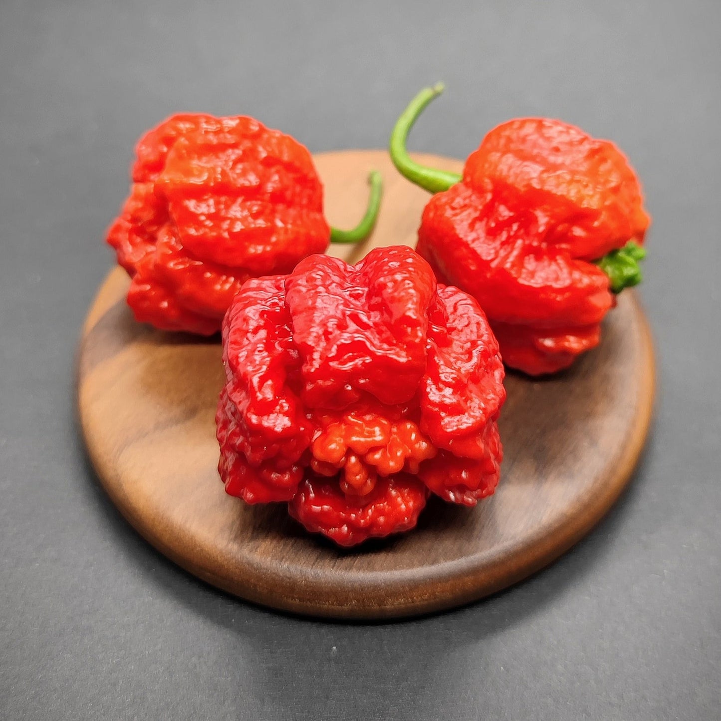 Three vibrant red Carolina Reaper x 7Pot Lava peppers, recognized for their intensely hot seeds and distinctively wrinkled texture, are displayed on a small wooden tray against a dark gray background. Brought to you by PepperMerchant.net.