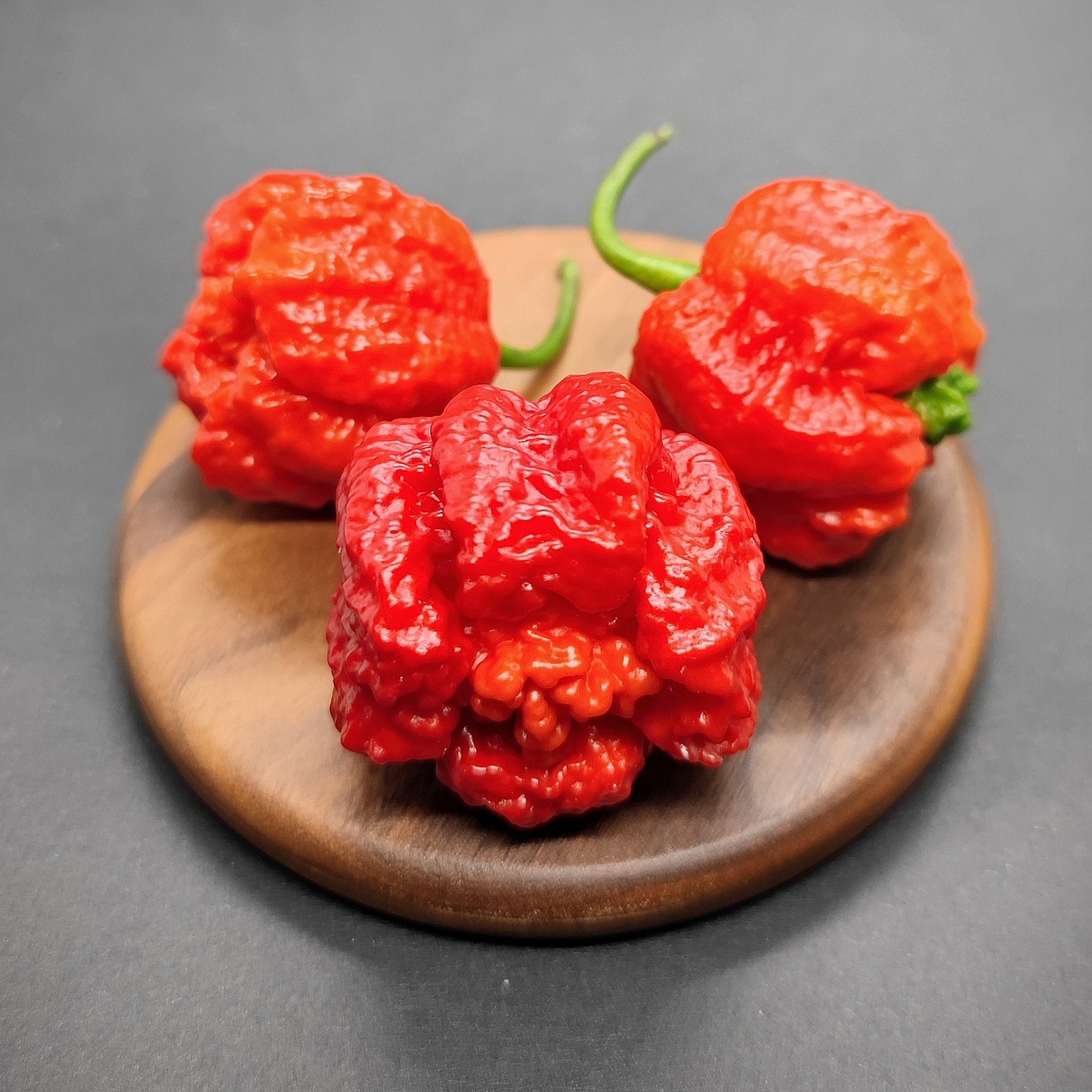 Three vibrant red Carolina Reaper x 7Pot Lava peppers, recognized for their intensely hot seeds and distinctively wrinkled texture, are displayed on a small wooden tray against a dark gray background. Brought to you by PepperMerchant.net.