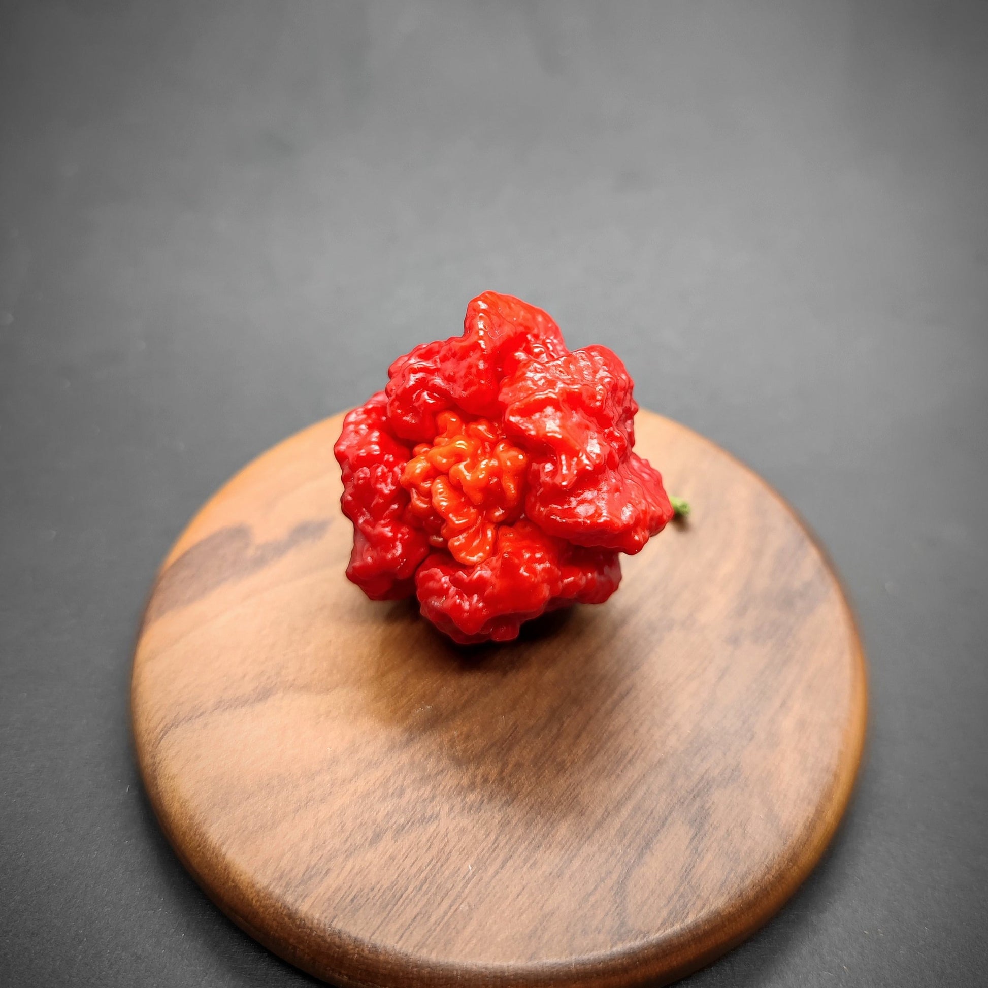 A vibrant Carolina Reaper x 7Pot Lava Red pepper from PepperMerchant.net, showcasing its distinctive bright red hue and bumpy texture, rests on a round wooden board against a shadowy backdrop.