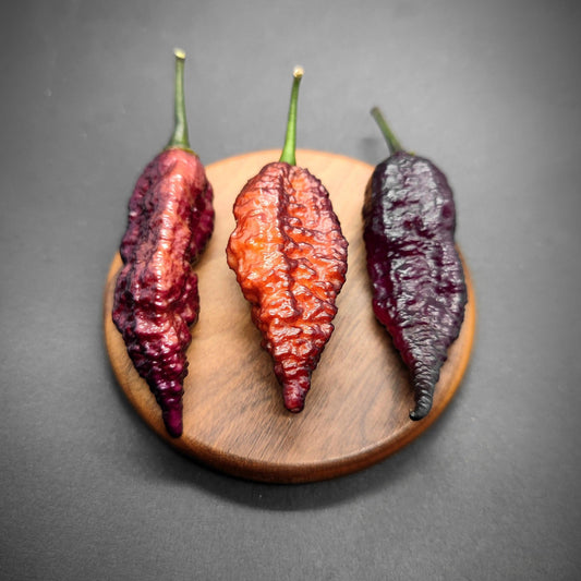 Three varieties of Crazyboy Pink Cream from PepperMerchant.net, in shades of red, orange, and purple, rest on a small wooden plate against a gray background.