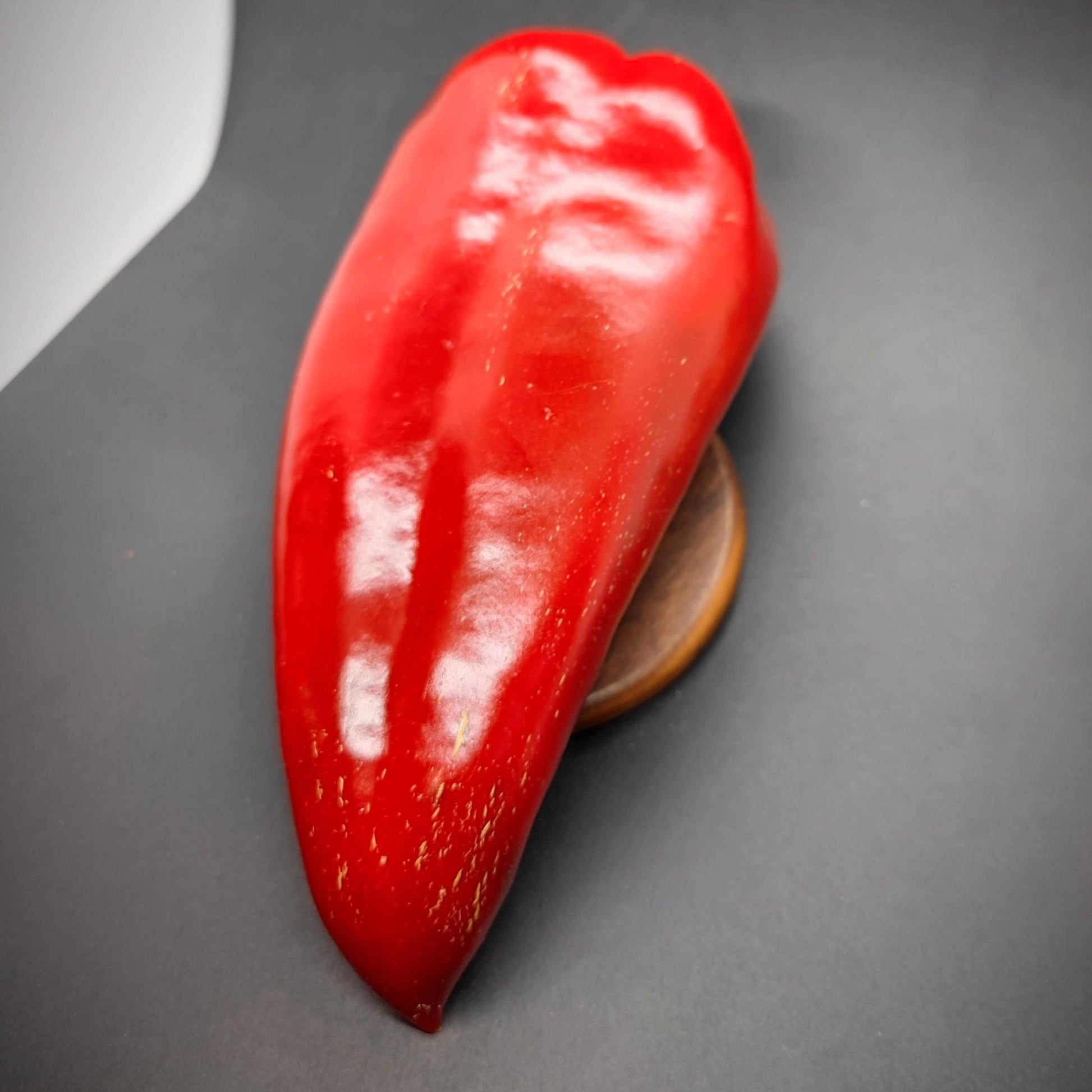 A close-up of a single large red Ajvarski Pepper from PepperMerchant.net on a dark grey background. This pepper, often used in Balkan cuisine for its smooth, glossy exterior and elongated shape, is perfect for making Ajvar spread. Its slightly tapered end hints at the premium quality of Ajvarski Pepper Seeds within.