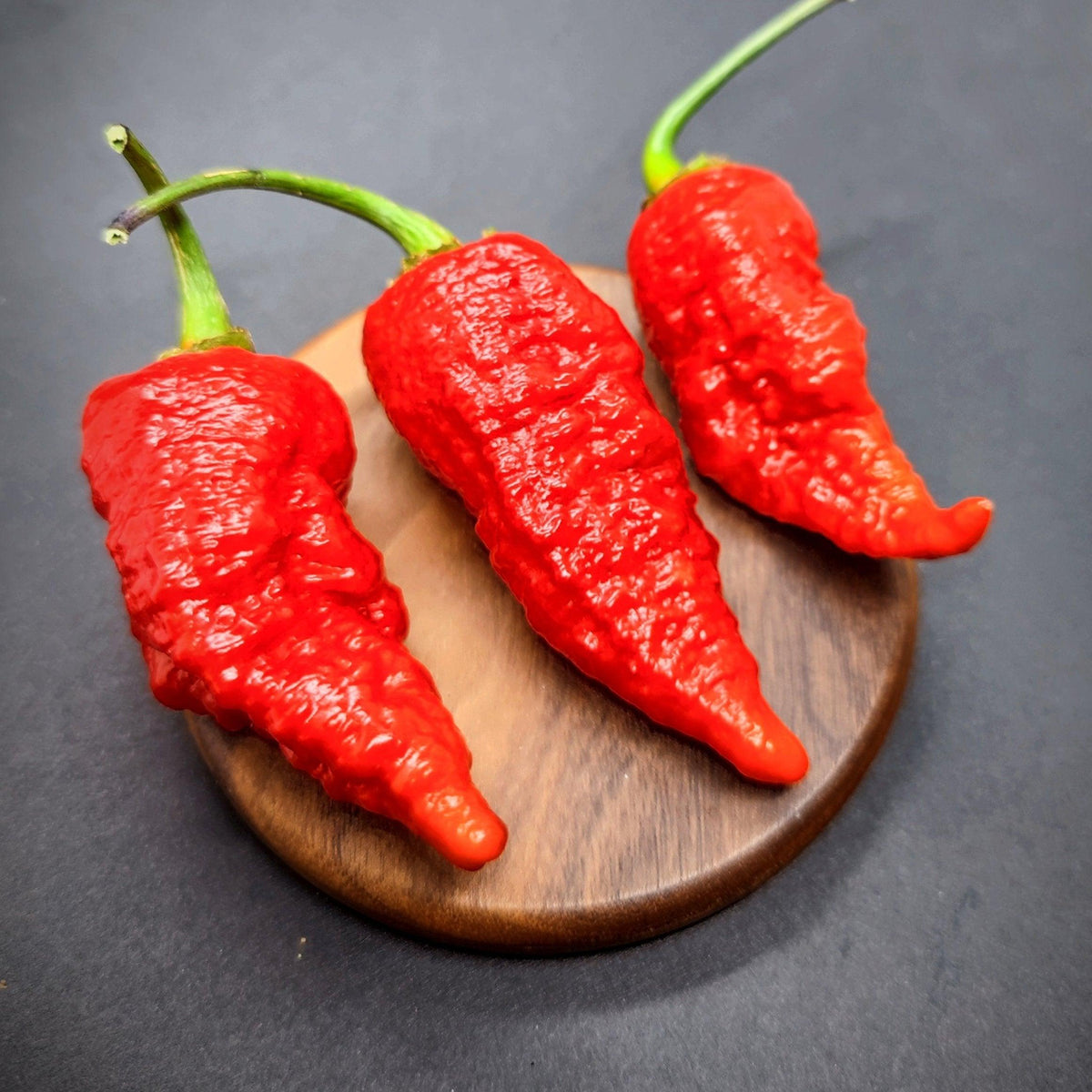 Bumpy Chilli Pepper BBG Armageddon Red – PepperMerchant.net