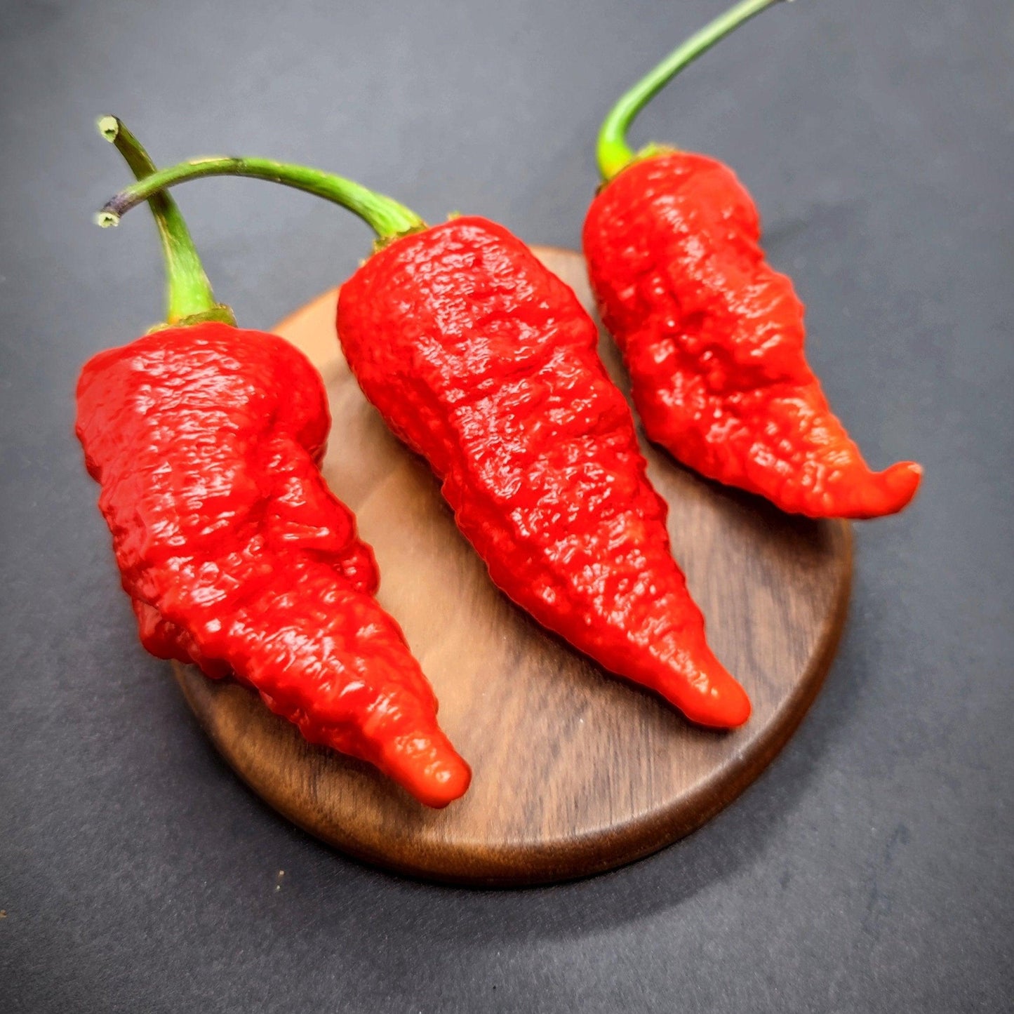 Three BBG Armageddon Red chili peppers with bumpy skin and curled, pointed tips sit on a round, brown wooden surface against a dark background. Connected to green stems, their vibrant red color is a vivid contrast, hinting at the intense spiciness measured in Scoville Heat Units. Brought to you by PepperMerchant.net.