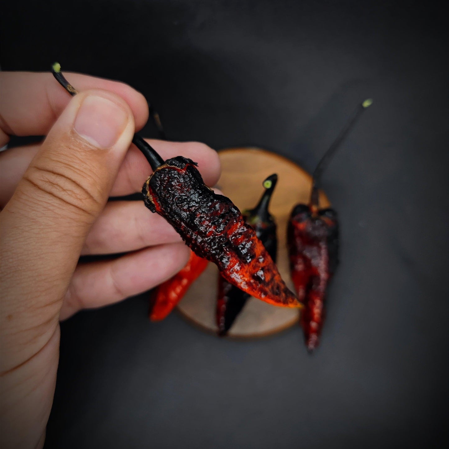 A hand holding a dark red, slightly wrinkled Black BBG Armageddon chili pepper from PepperMerchant.net against a dark background. Three other similar superhot chili peppers are placed on a small wooden surface in the background.