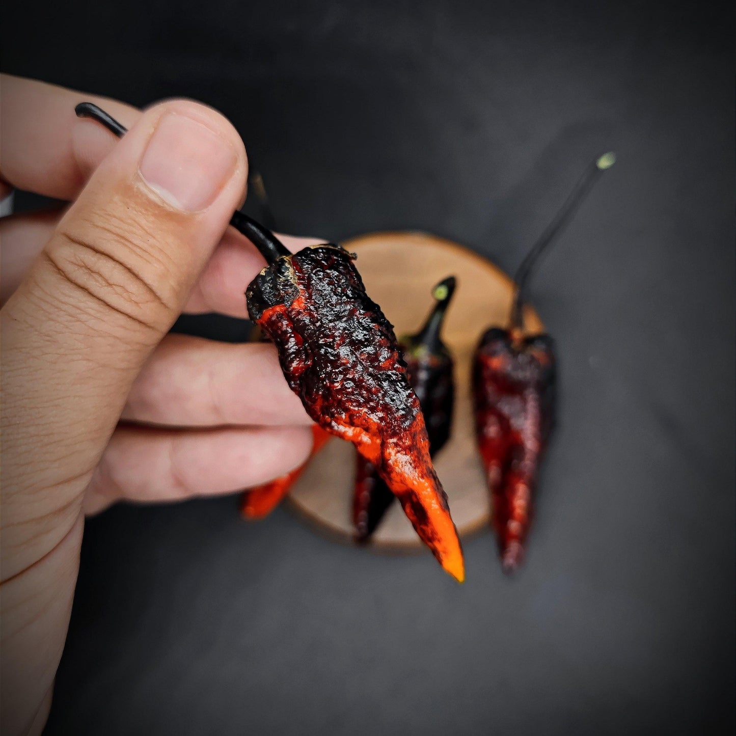 A hand holding a dark red, charred Black BBG Armageddon pepper with a black stem over a dark background. Two more similarly charred Superhot chili Black BBG Armageddon peppers from PepperMerchant.net rest on a small wooden plate in the background.