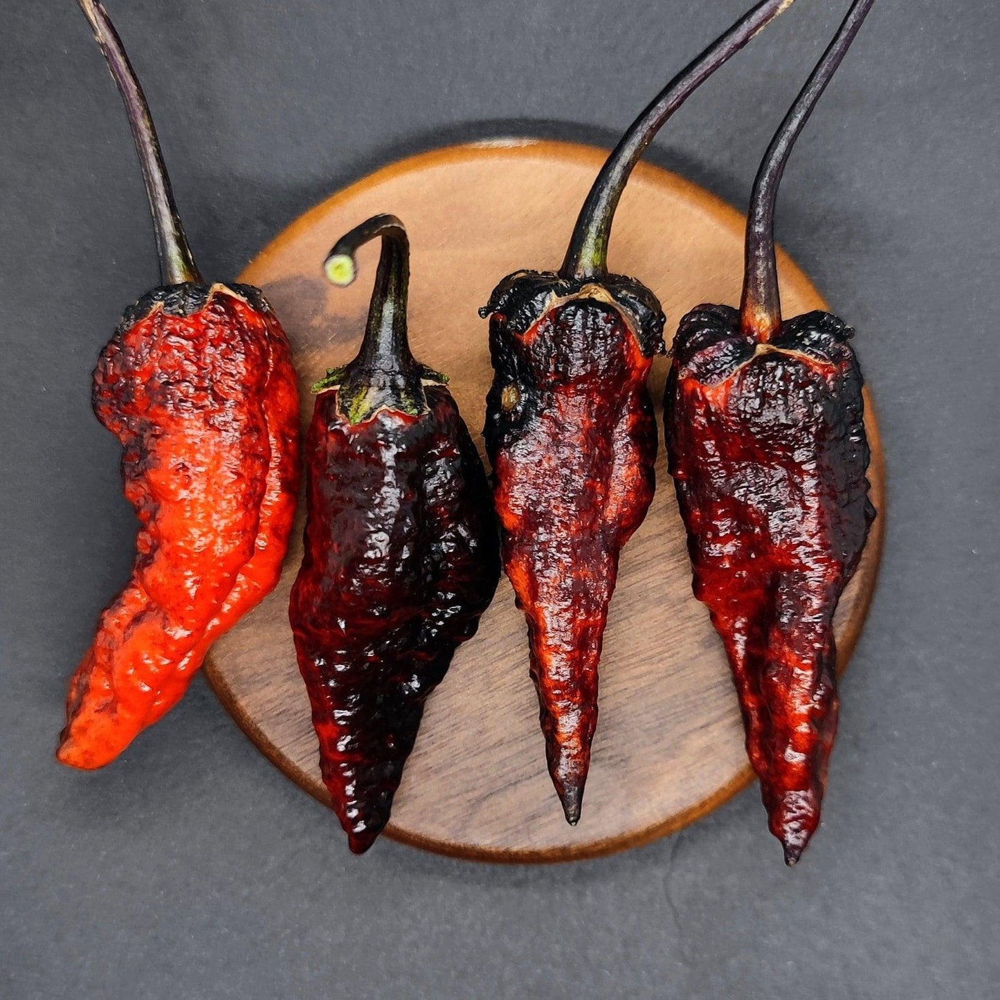 Four large, dark brown and red Black BBG Armageddon peppers from PepperMerchant.net are displayed on a round wooden plate against a dark background. The superhot peppers have a wrinkled, slightly glossy texture, and their stems are intact.