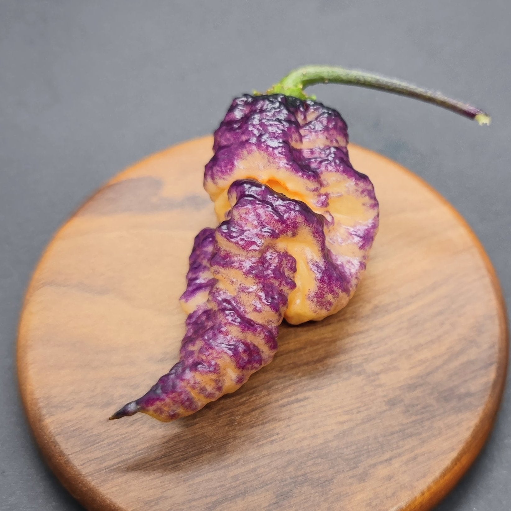 The BBG Hellwalker Peach, a superhot chili pepper from PepperMerchant.net, with striking purple and orange wrinkled skin, is elegantly displayed on a round wooden cutting board against a dark backdrop.