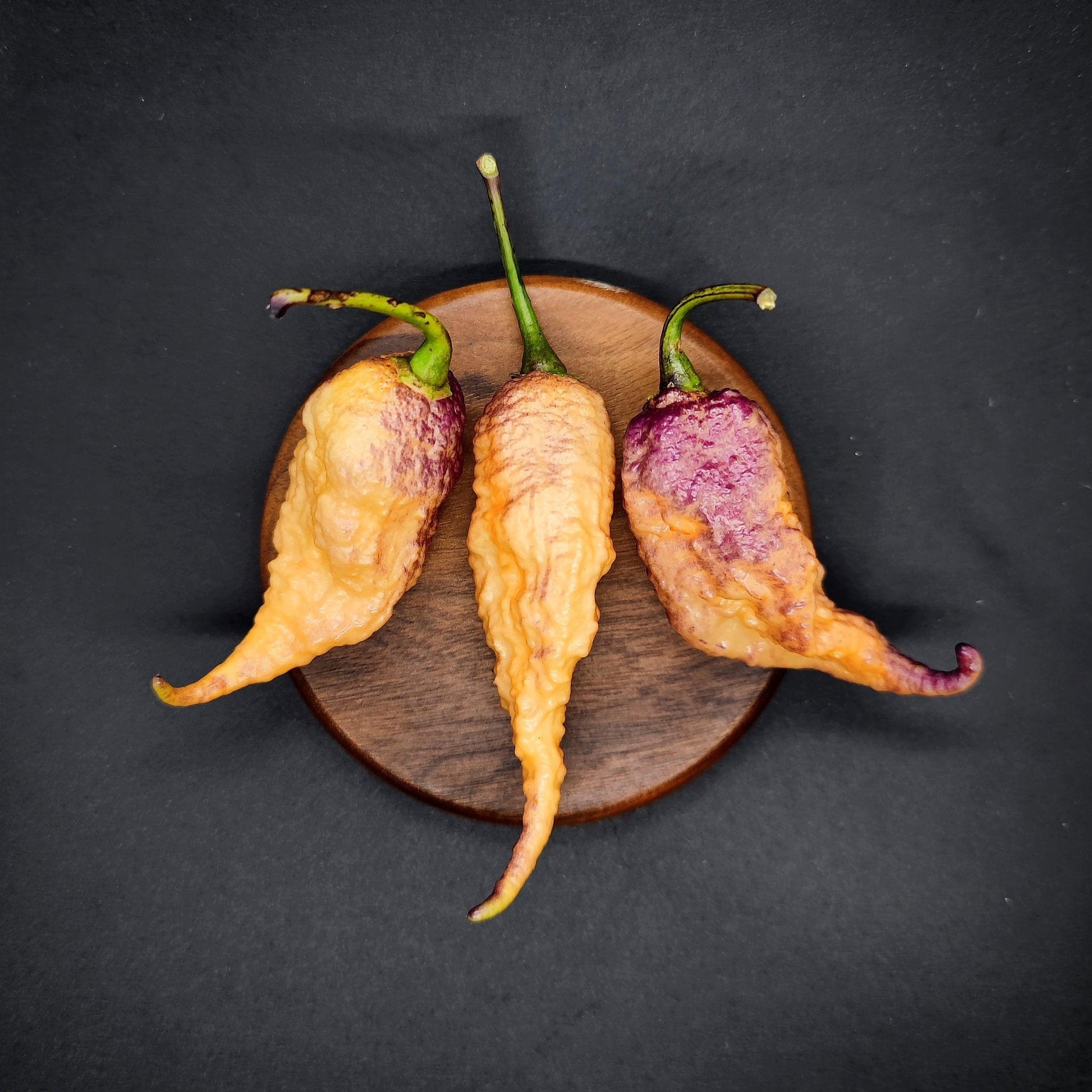 Three large, uniquely-shaped Boar Claw peppers from PepperMerchant.net, featuring a textured surface and a blend of orange and purple hues, sit atop a dark round wooden plate, set against a solid black background.