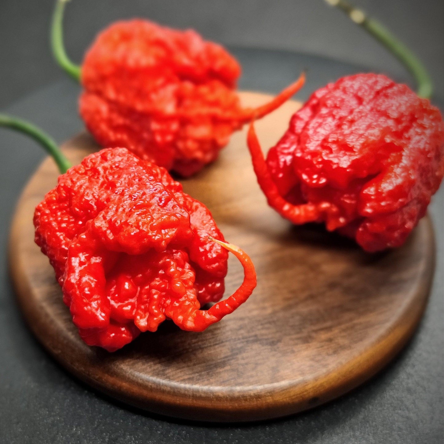 Carolina Reaper –