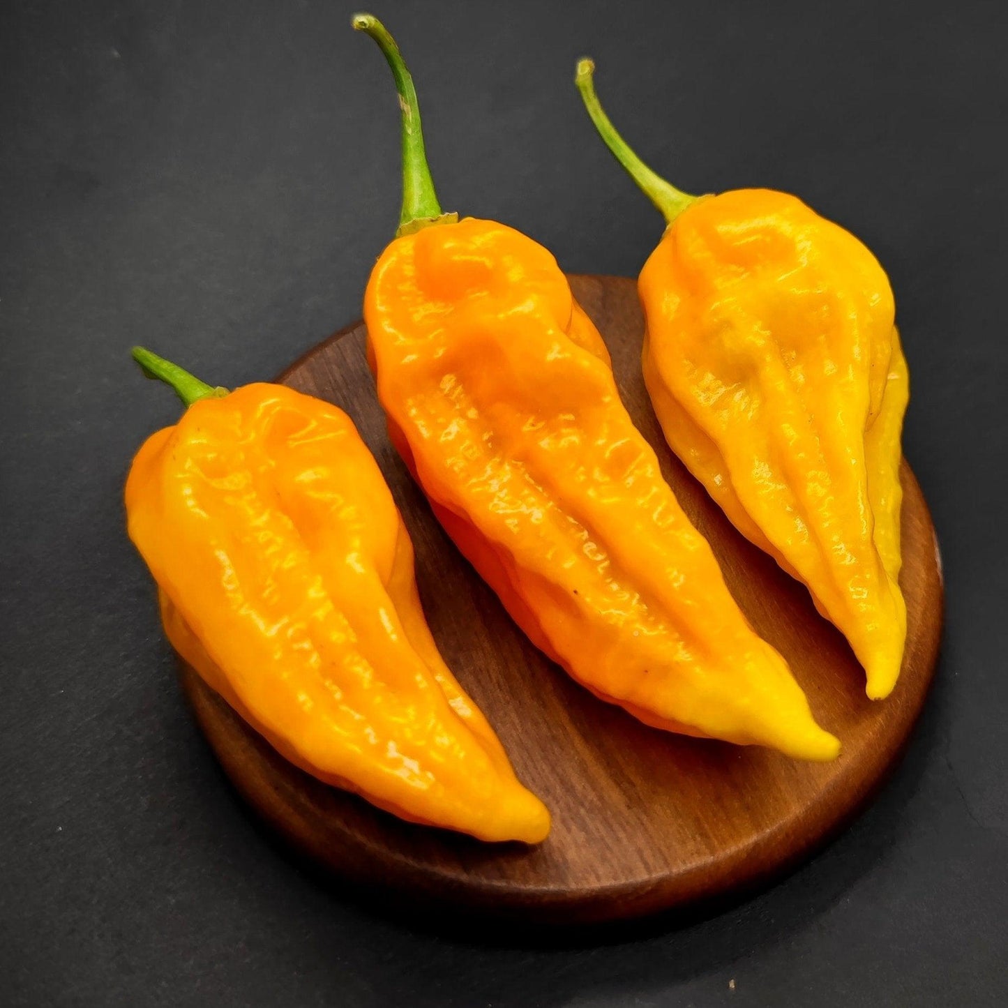 Three vibrant Yellow Fatalii chili peppers from PepperMerchant.net are arranged on a small, round wooden board against a dark background. The hot peppers are long and slightly wrinkled, with green stems at the top, showcasing their fresh and spicy appearance coupled with a hint of citrus flavor.