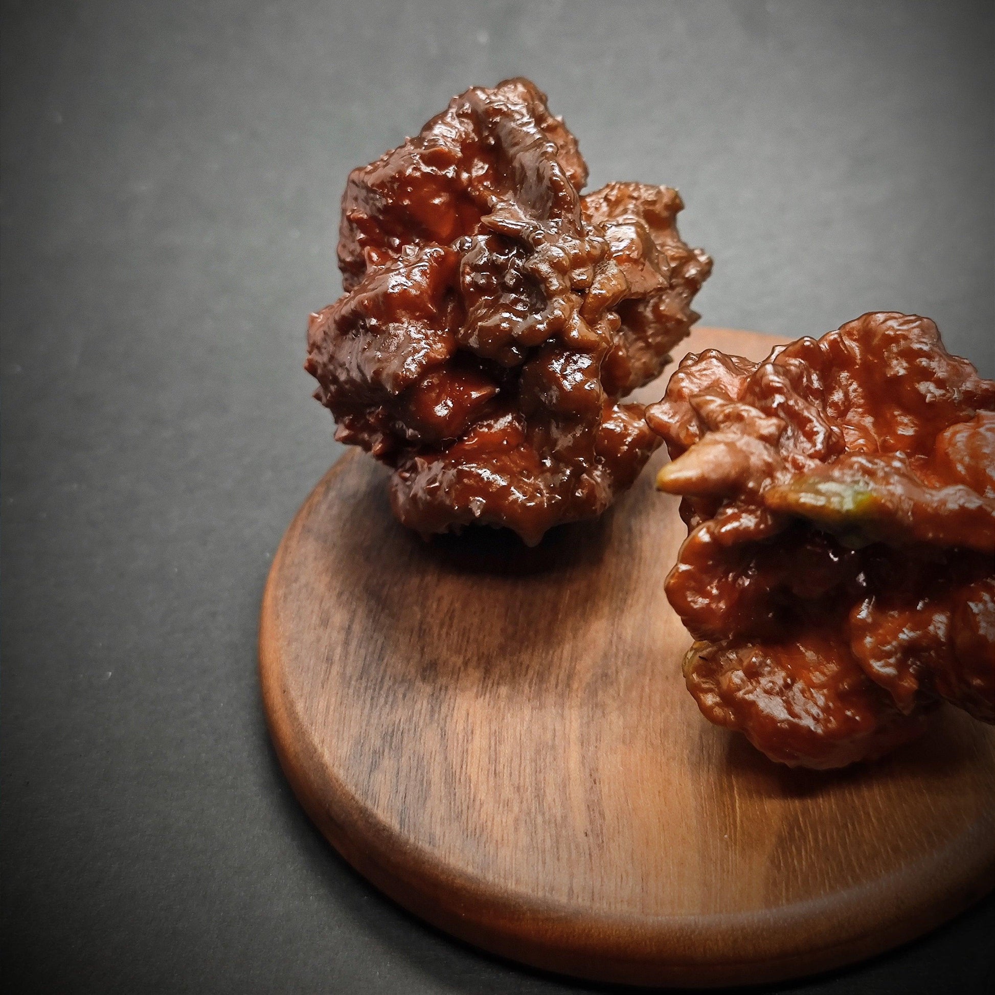 Two shiny, dark brown rocks with irregular, rugged surfaces are displayed on a round wooden base. The background is plain and dark, accentuating the texture and color of the rocks. These stones almost resemble a Chocolate Brainstrain from PepperMerchant.net, with their striking appearance reminiscent of superhot peppers.